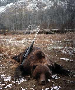 Alaska brown bear hunting, Alaska brown bear hunt