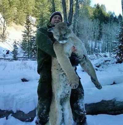 Wyoming Mountain lion hunting, Mountain lion hunt, MT Lion Hunting