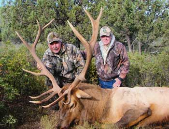 New Mexico elk hunting, New mexico elk hunt, New mexico hunting outfitter, new mexico hunting guide