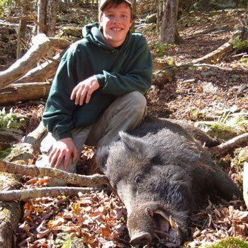 Russian Boar hunting, Hog Hunting, Wild hog hunting, Outfitter, Guide