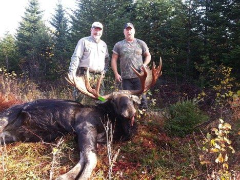 Maine Moose hunting guide, Maine Bear hunting guide, Maine Deer hunting guide