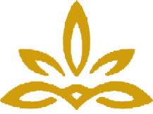 ICONA LOGO
