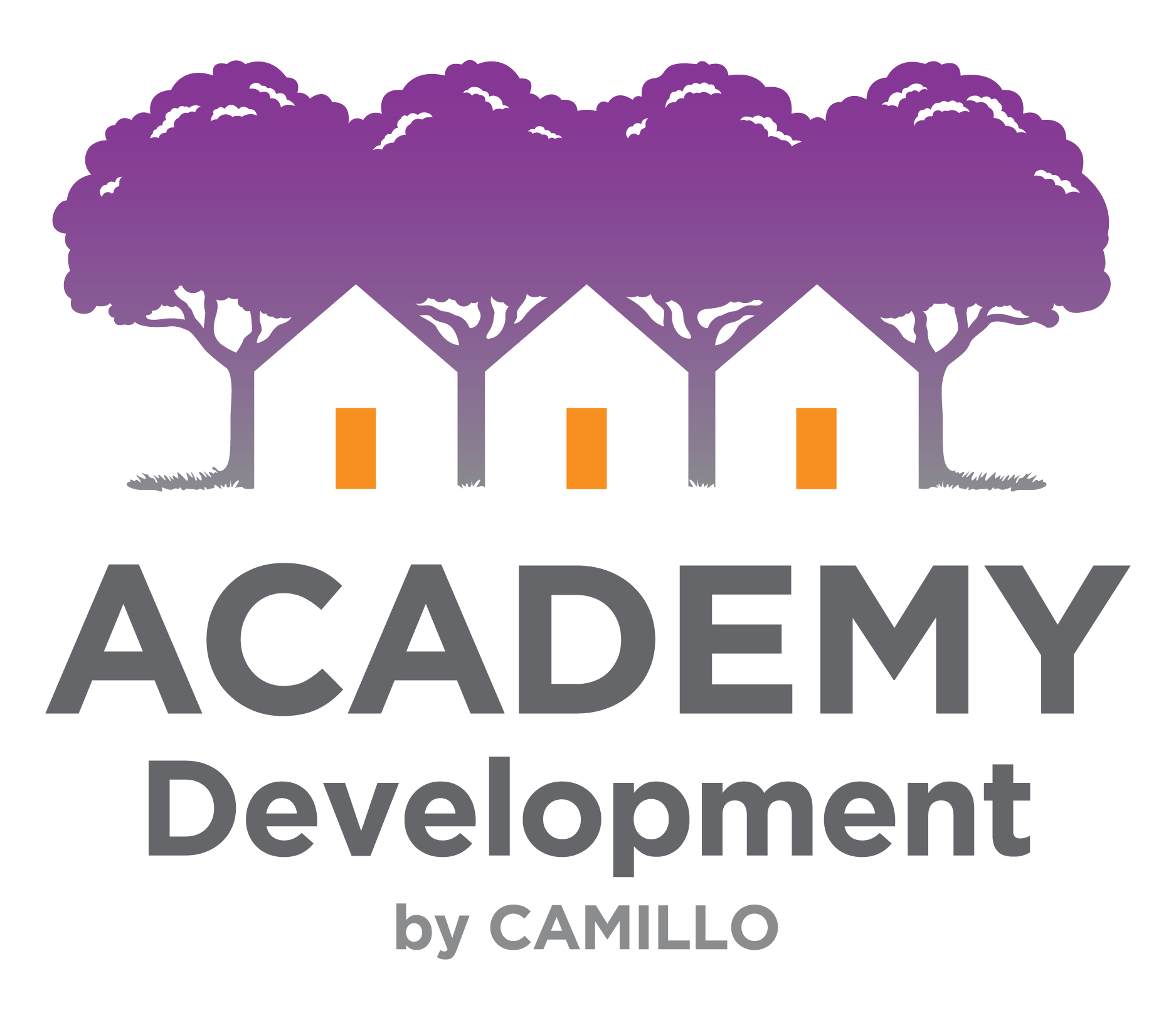Academy Development logo