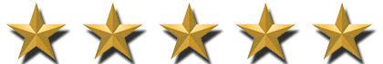 5-Star Google Business Reviews