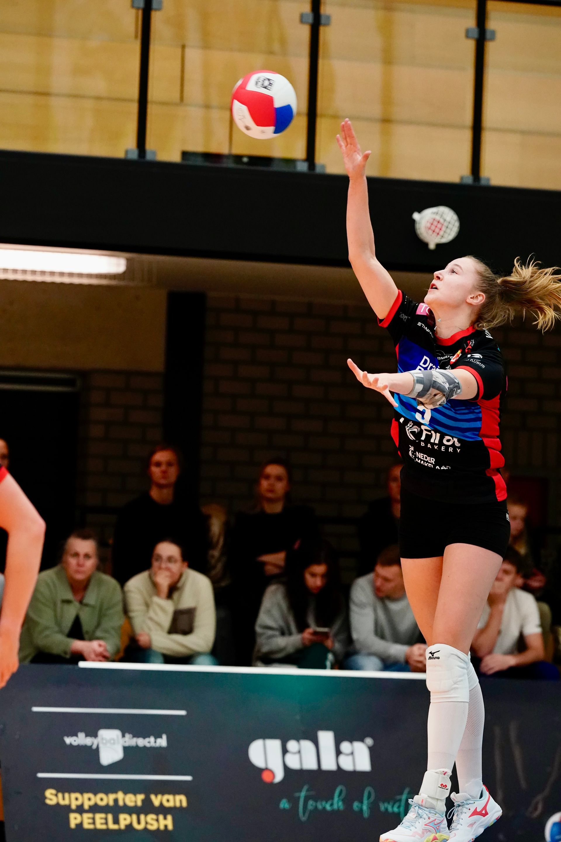 Britt van der Kooi #5
©2026-Strikwerda Fotografie
Eredivisie volleybal 
Nevobo