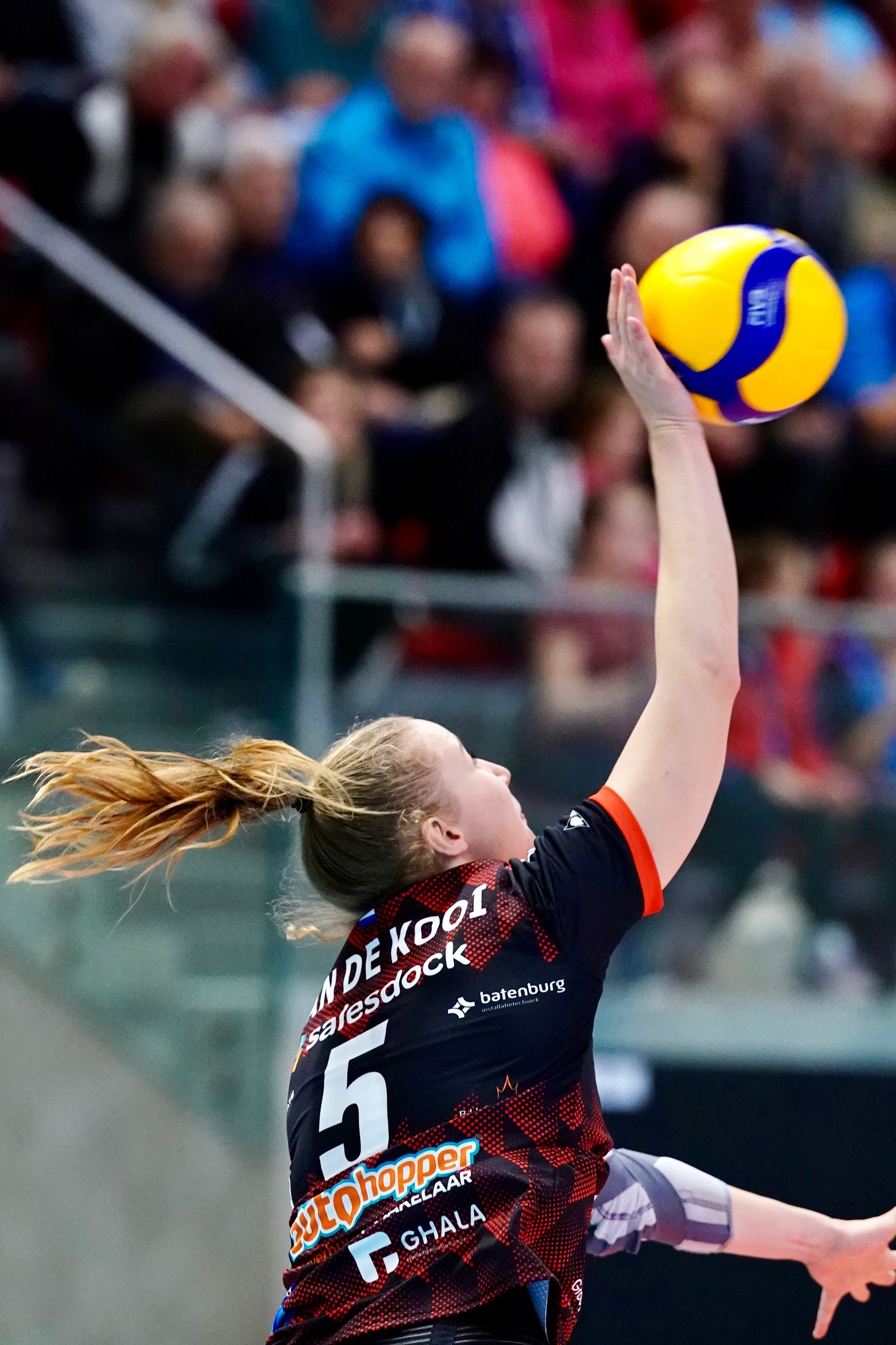 Volleybal Draisma Dynamo in actie