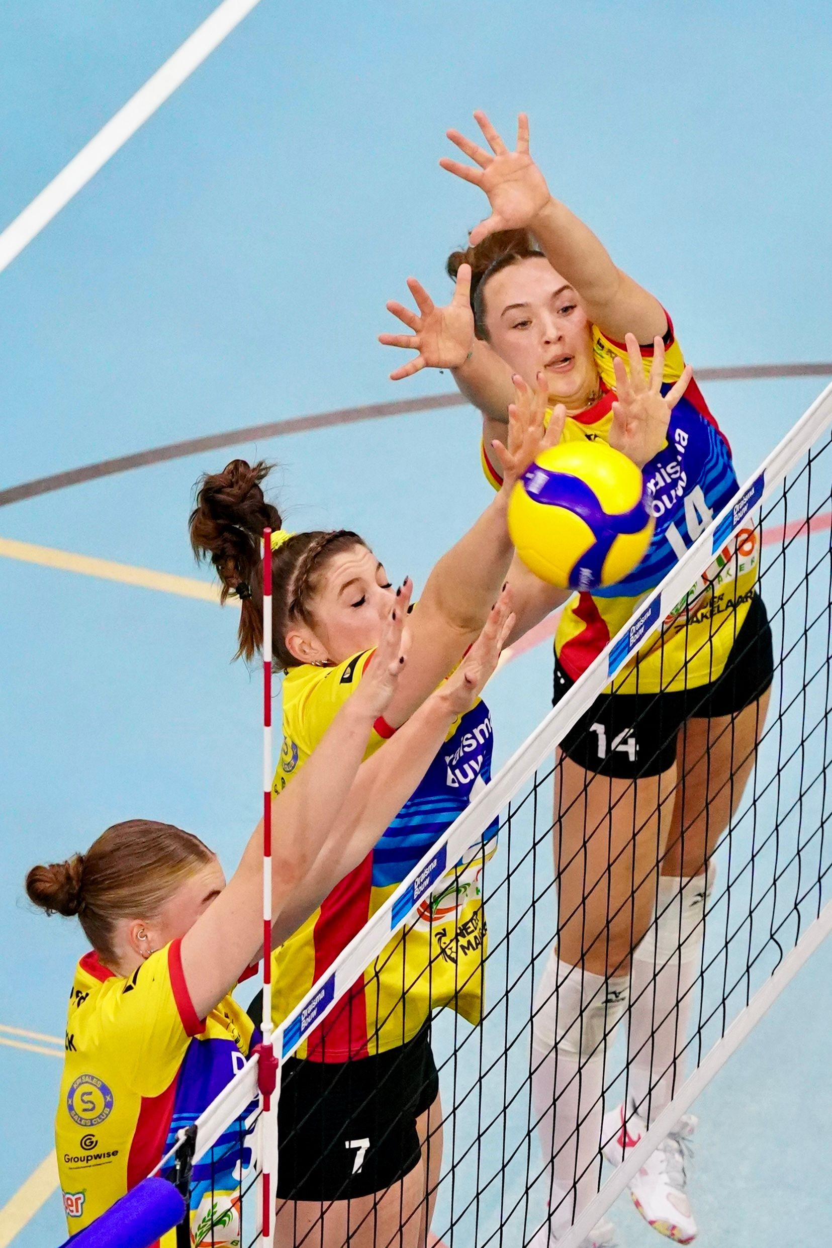 Nynke Hofstede #7
Luna Strikwerda #3
Saar Meijer #14
©2026-Strikwerda Fotografie
Eredivisie volleybal 
Nevobo