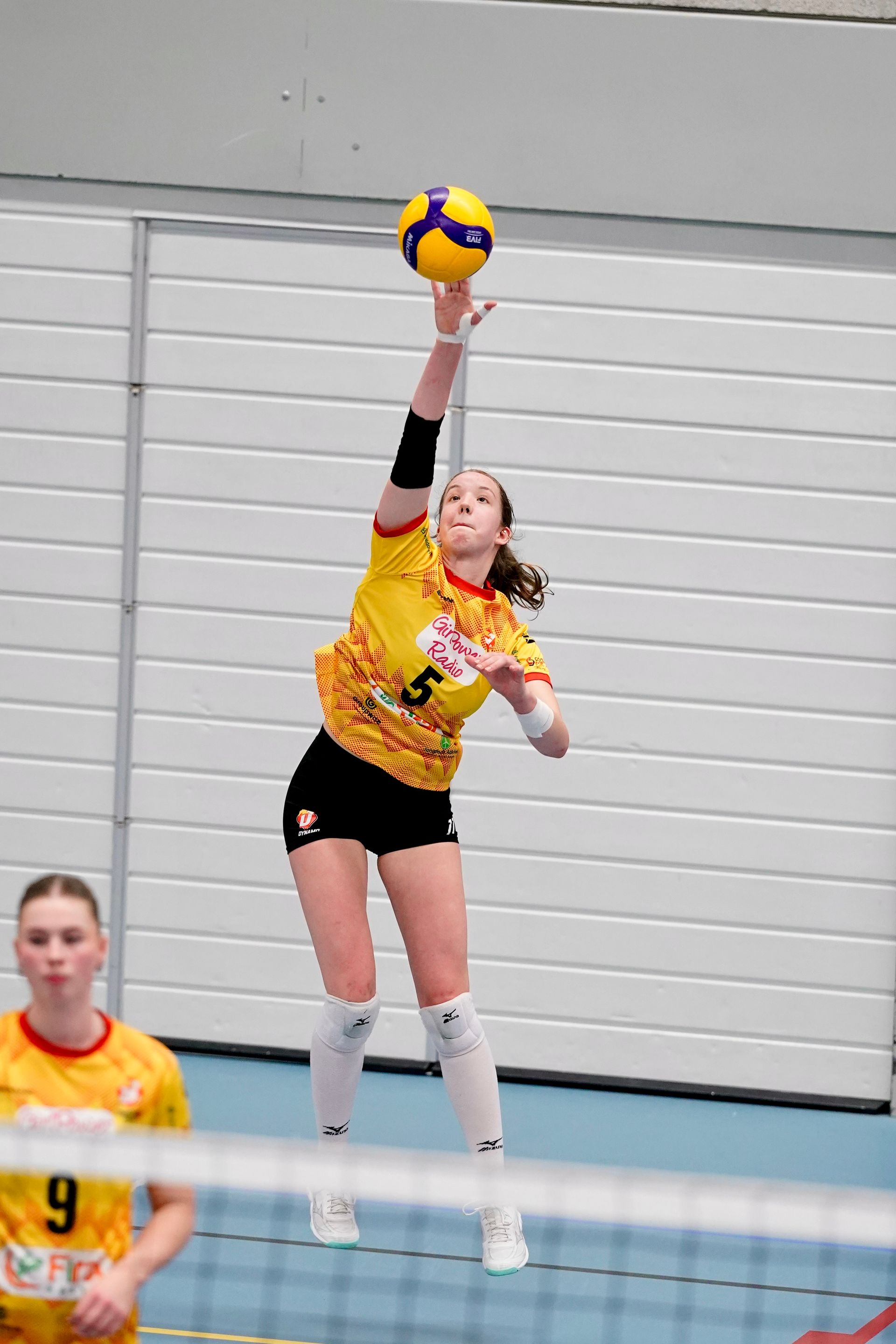 ©2026-Strikwerda Fotografie