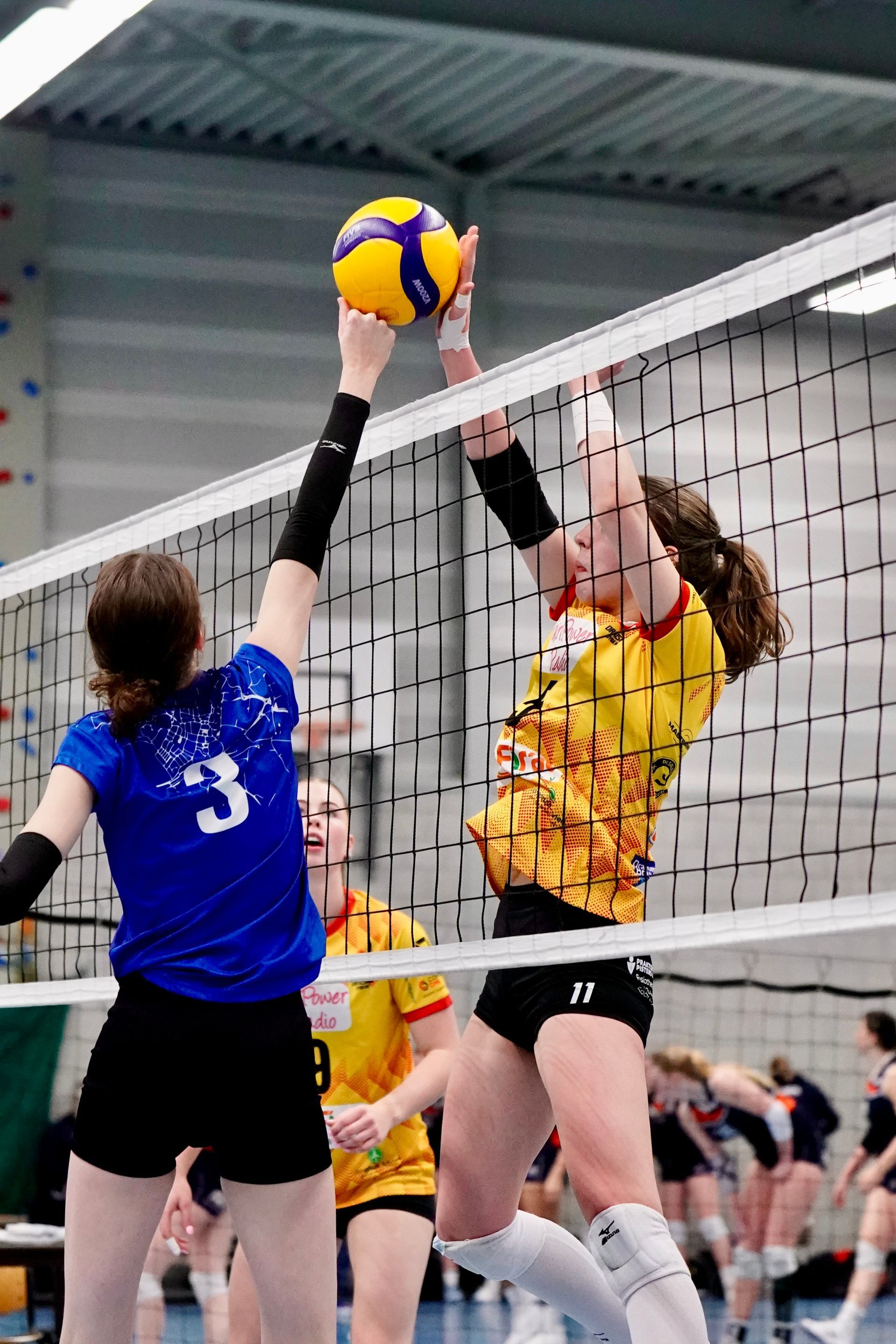 ©2026-Strikwerda Fotografie