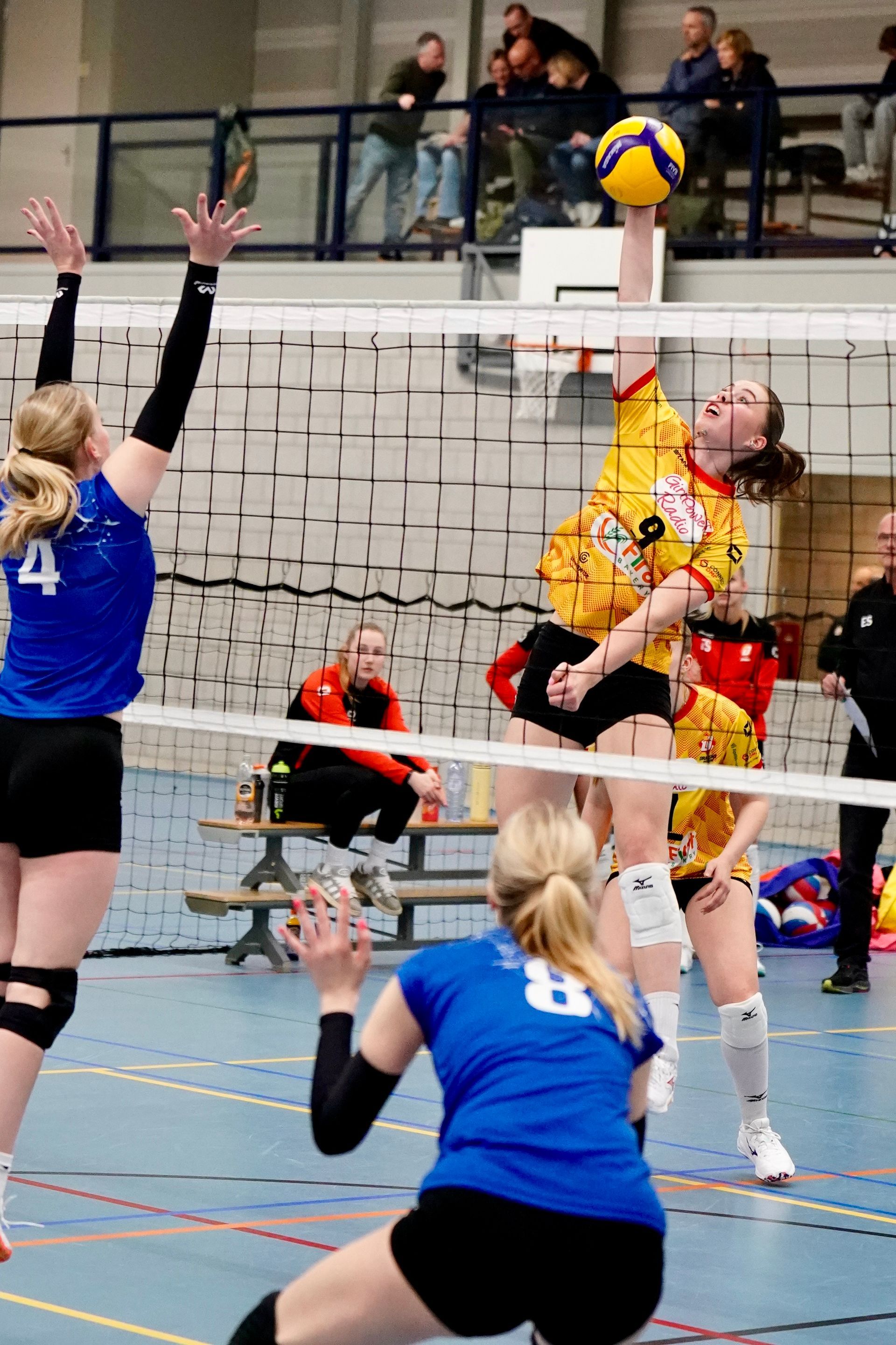 ©2026-Strikwerda Fotografie