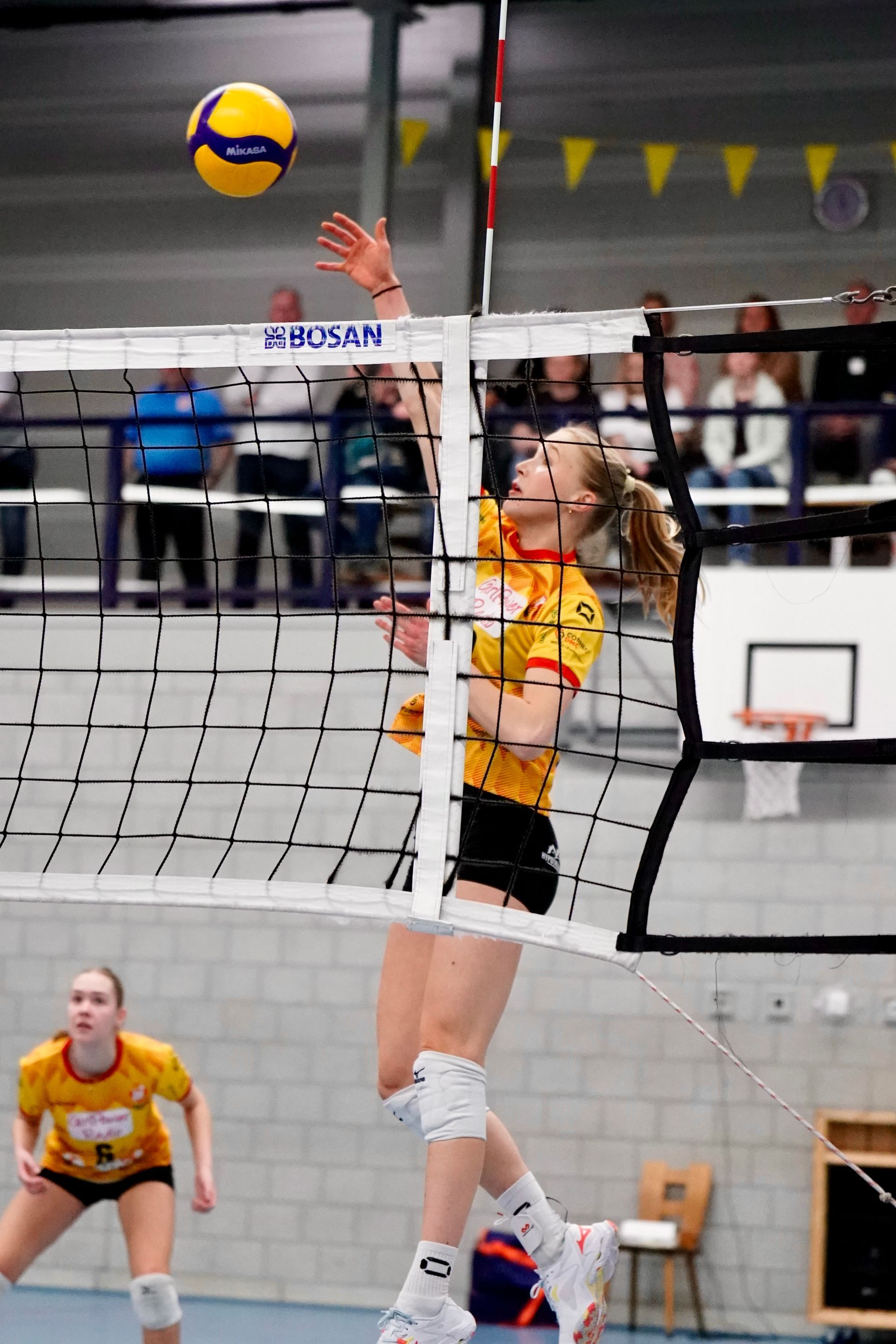 ©2026-Strikwerda Fotografie