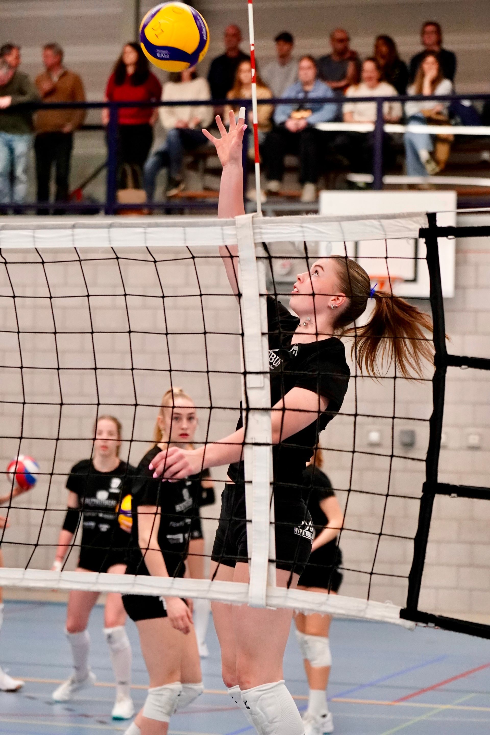 ©2026-Strikwerda Fotografie