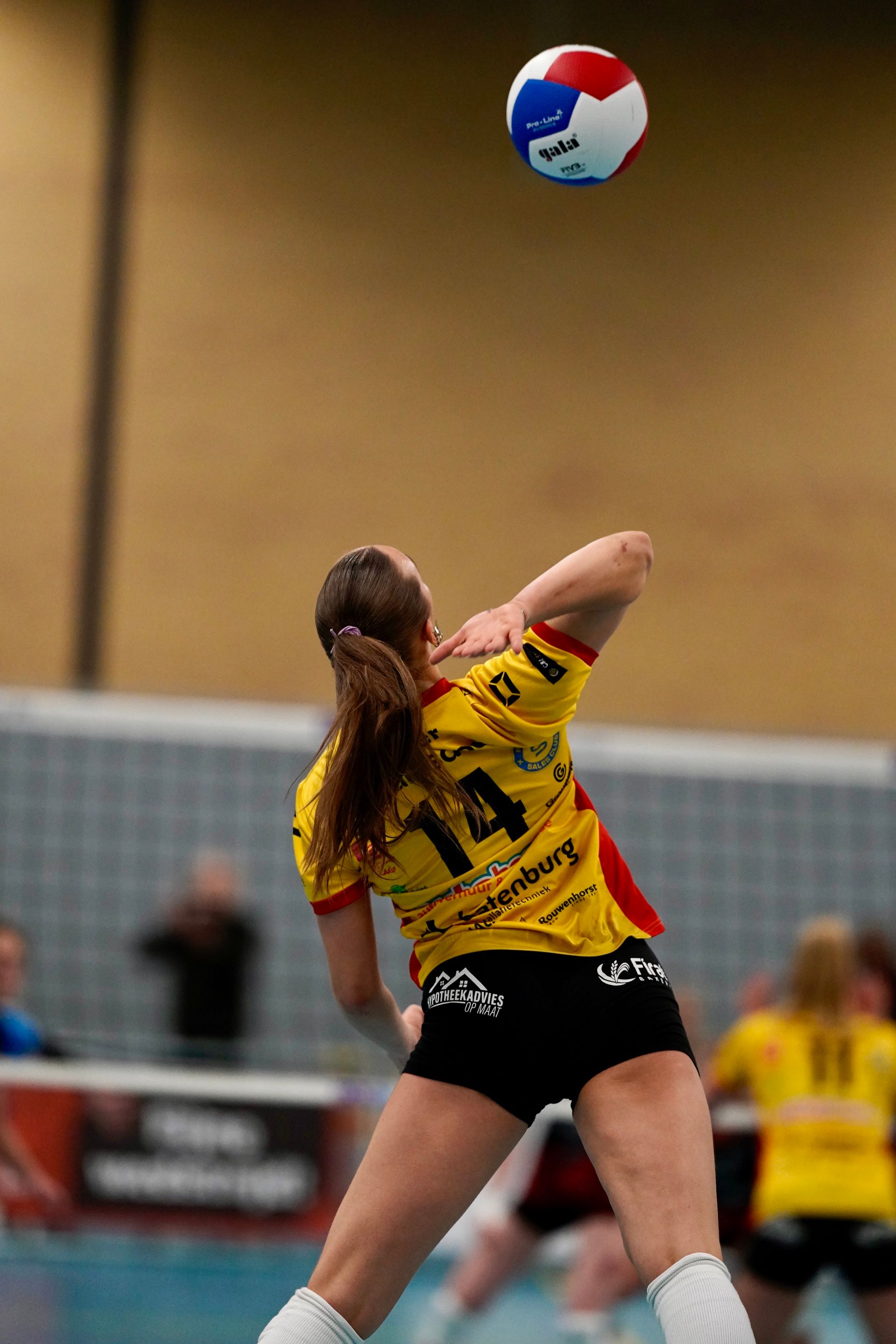 Saar Meijer #14
©2026-Strikwerda Fotografie
Eredivisie volleybal 
Nevobo