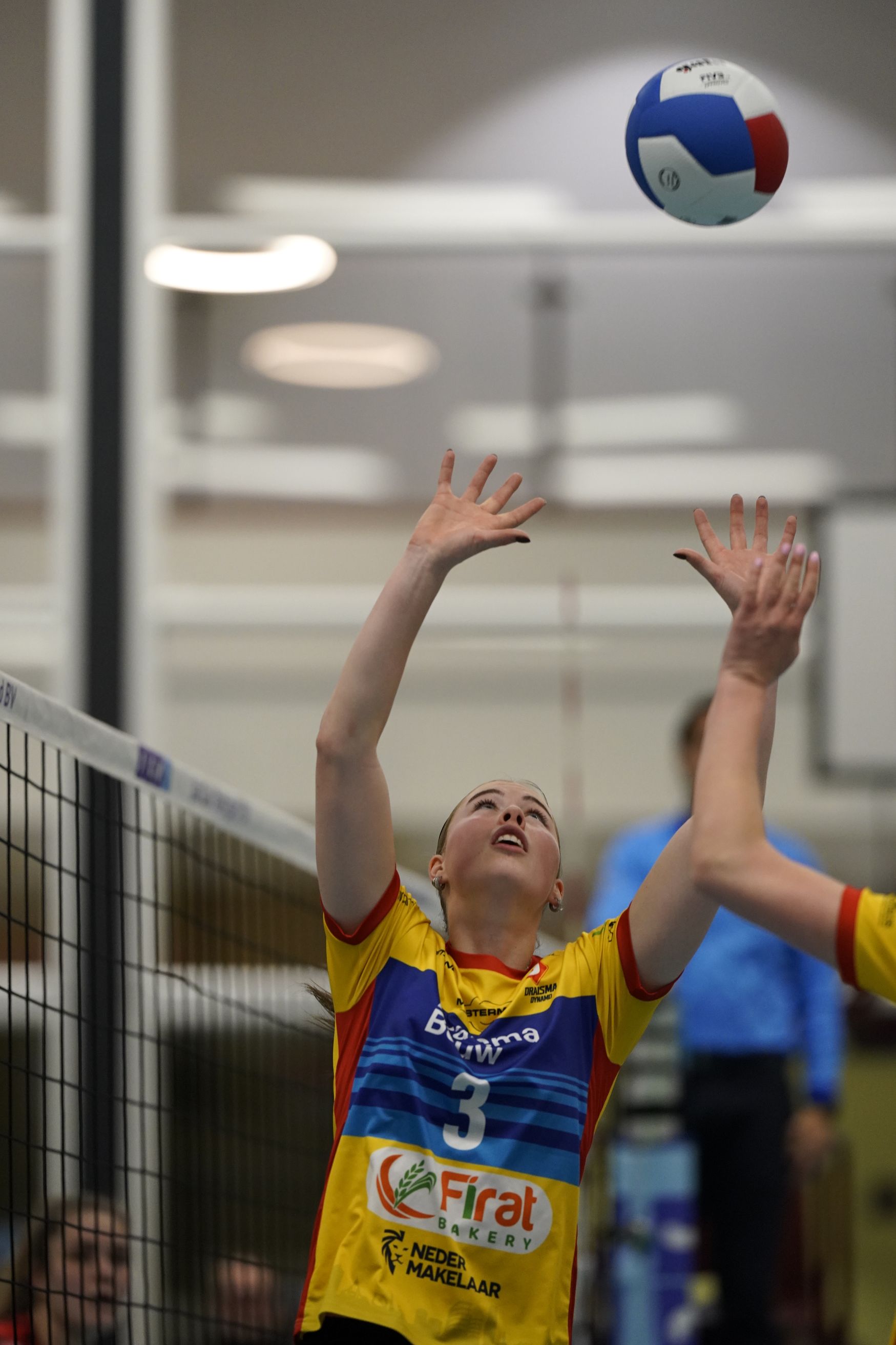 ©2026-Strikwerda Fotografie
Eredivisie volleybal 
Nevobo