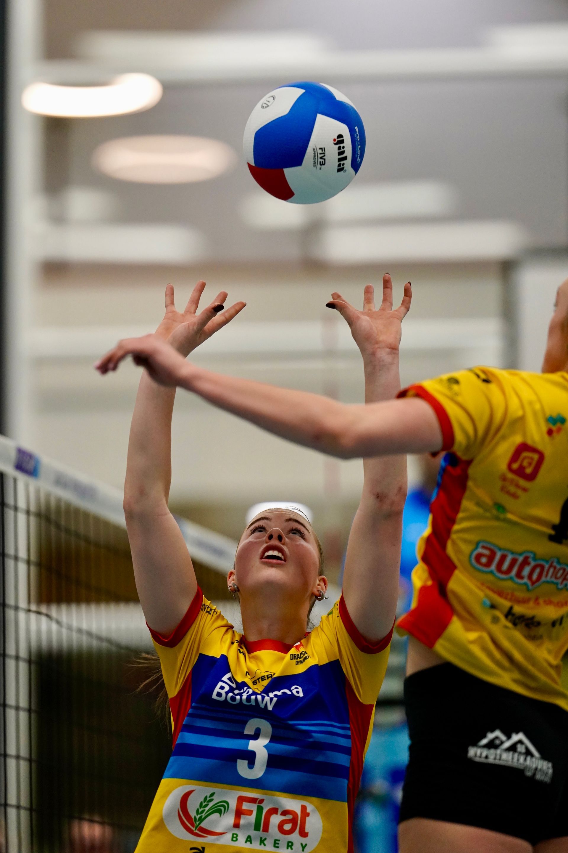 ©2026-Strikwerda Fotografie
Eredivisie volleybal 
Nevobo