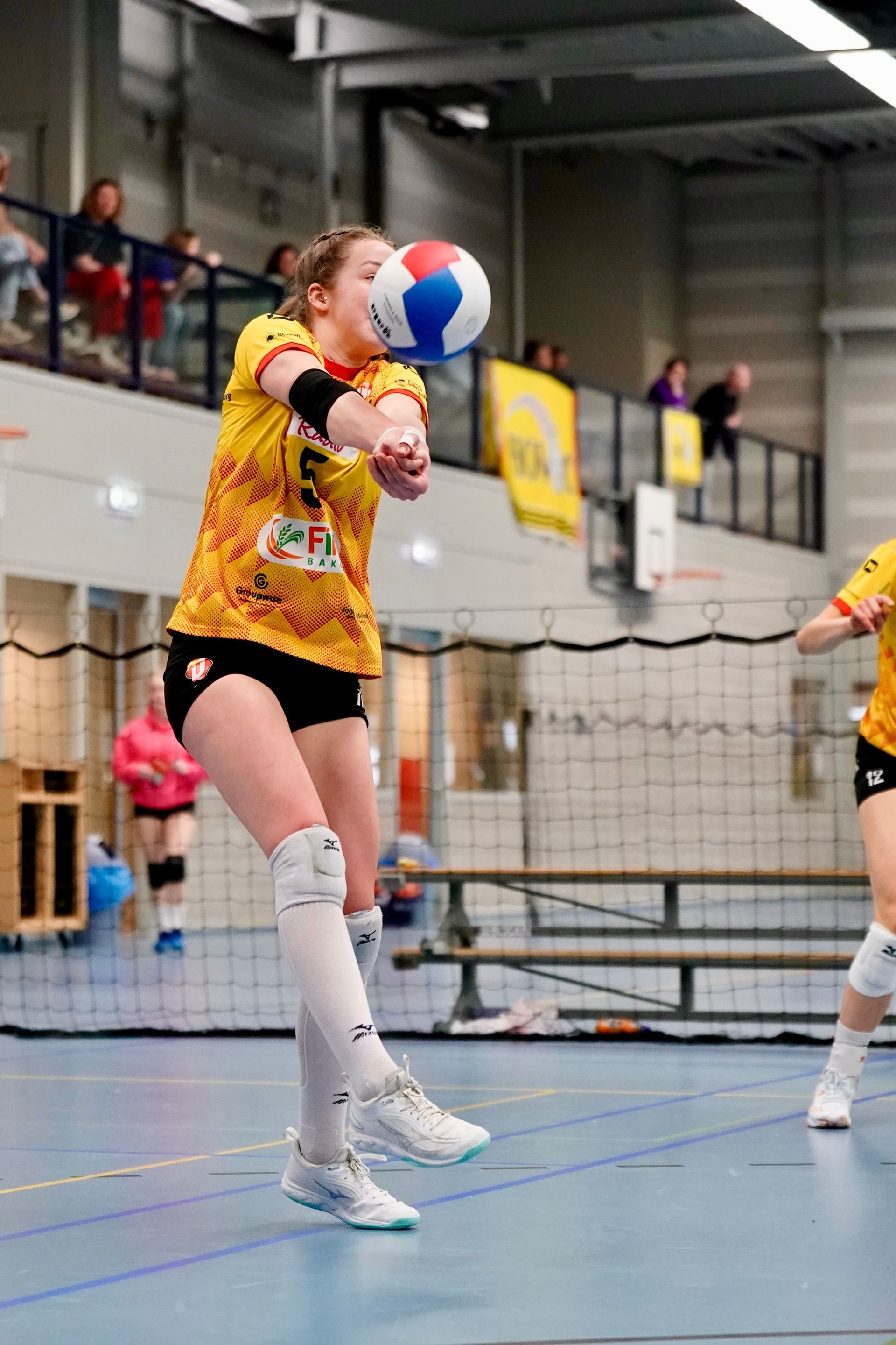 ©2026-Strikwerda Fotografie