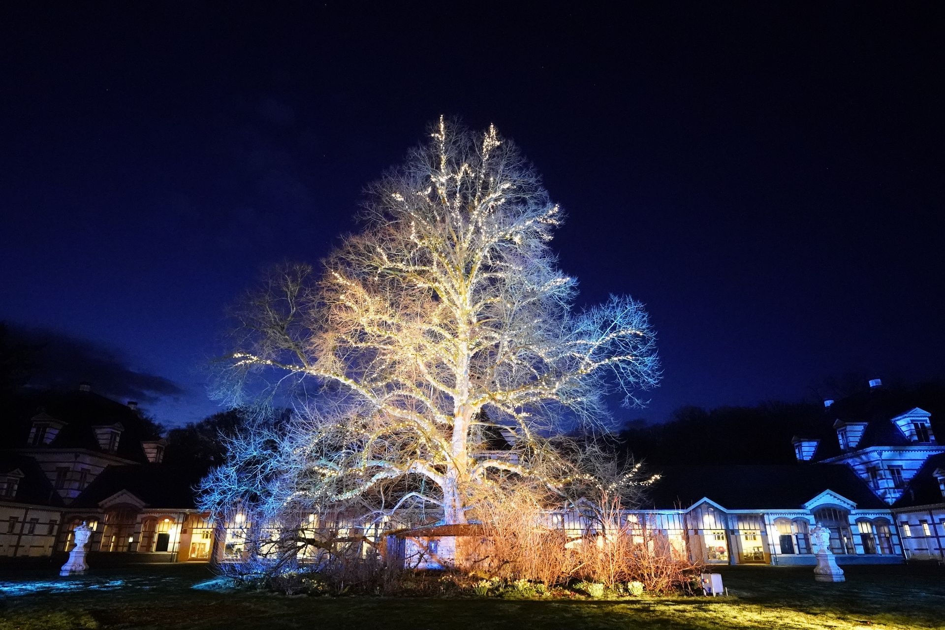 ©2026-Strikwerda Fotografie