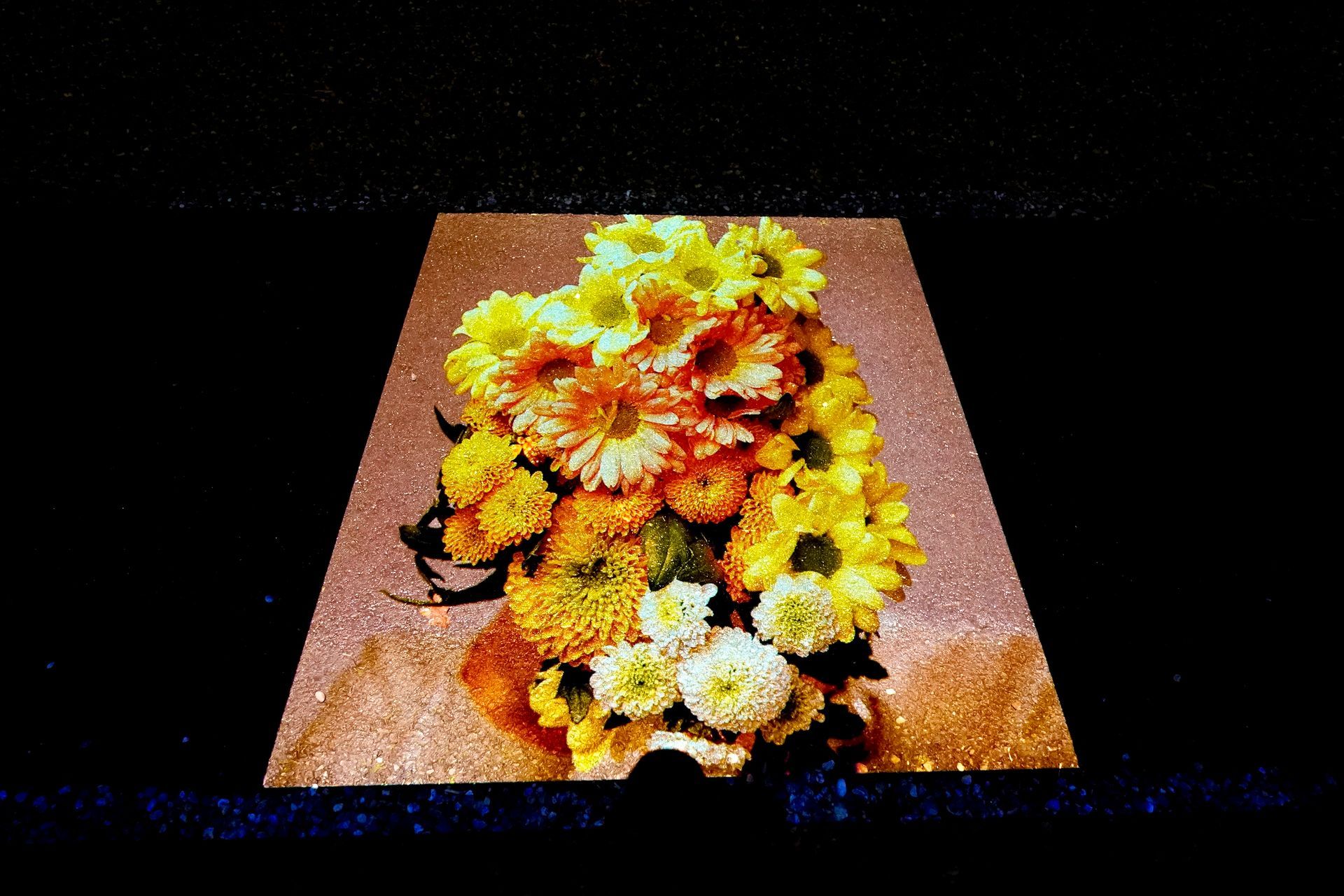 Talent lab x Technova College Ede 
( ROC A12)
Gemeente Apeldoorn 
Royallight Festival