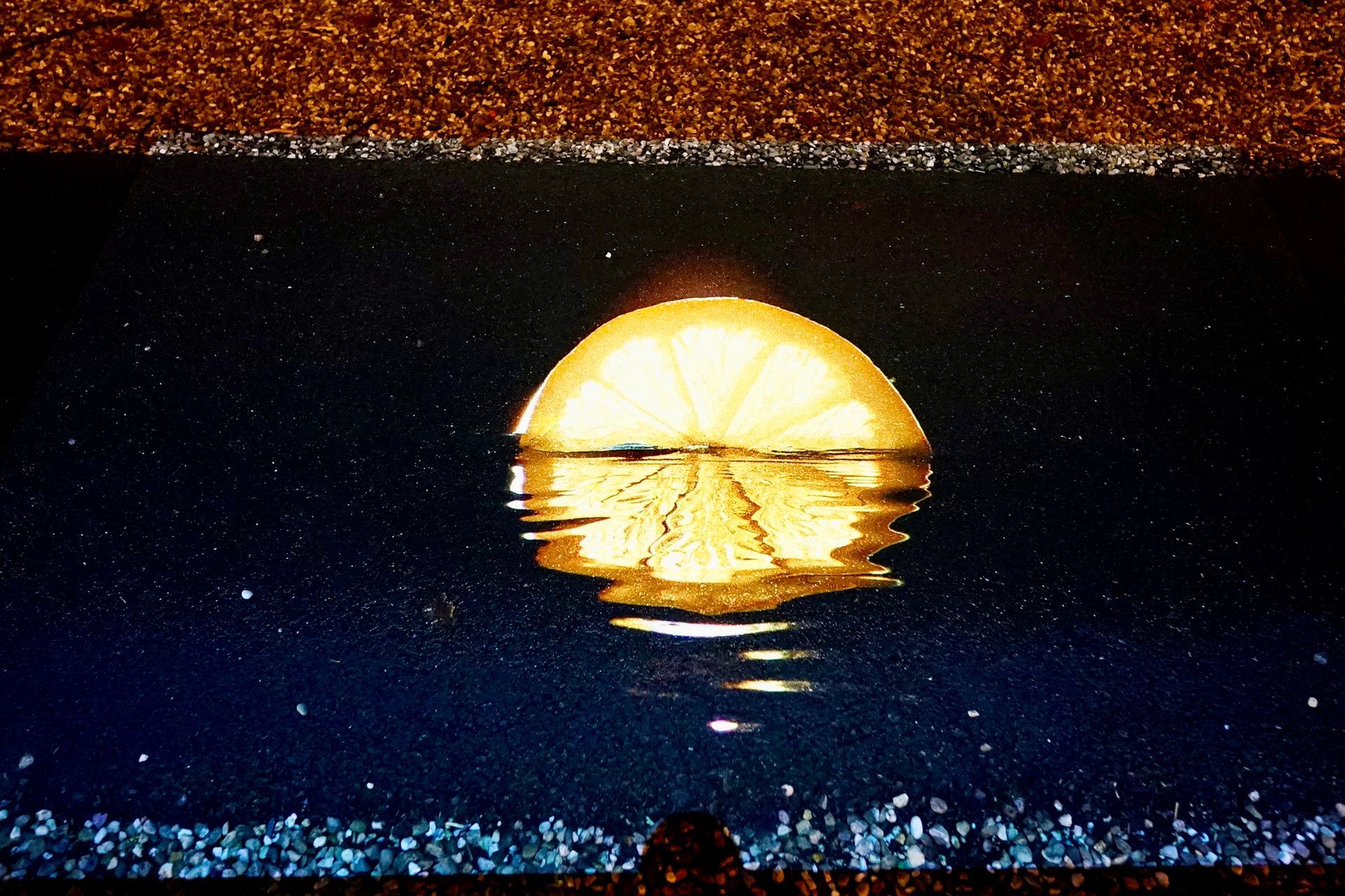 Talent lab x Technova College Ede 
( ROC A12)
Gemeente Apeldoorn 
Royallight Festival
©2026-Strikwerda Fotografie