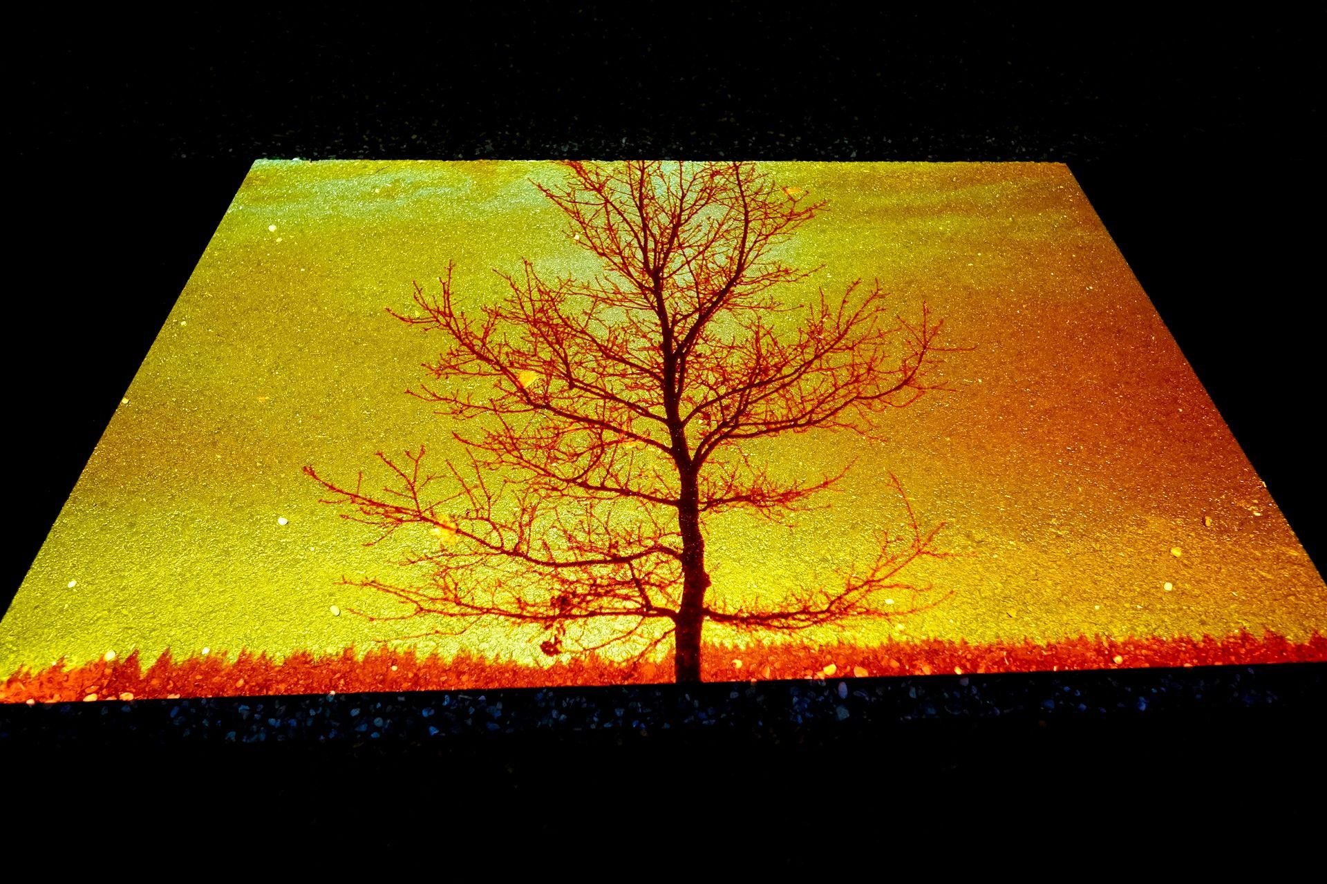 Talent lab x Technova College Ede 
( ROC A12)
Gemeente Apeldoorn 
Royallight Festival
©2026-Strikwerda Fotografie