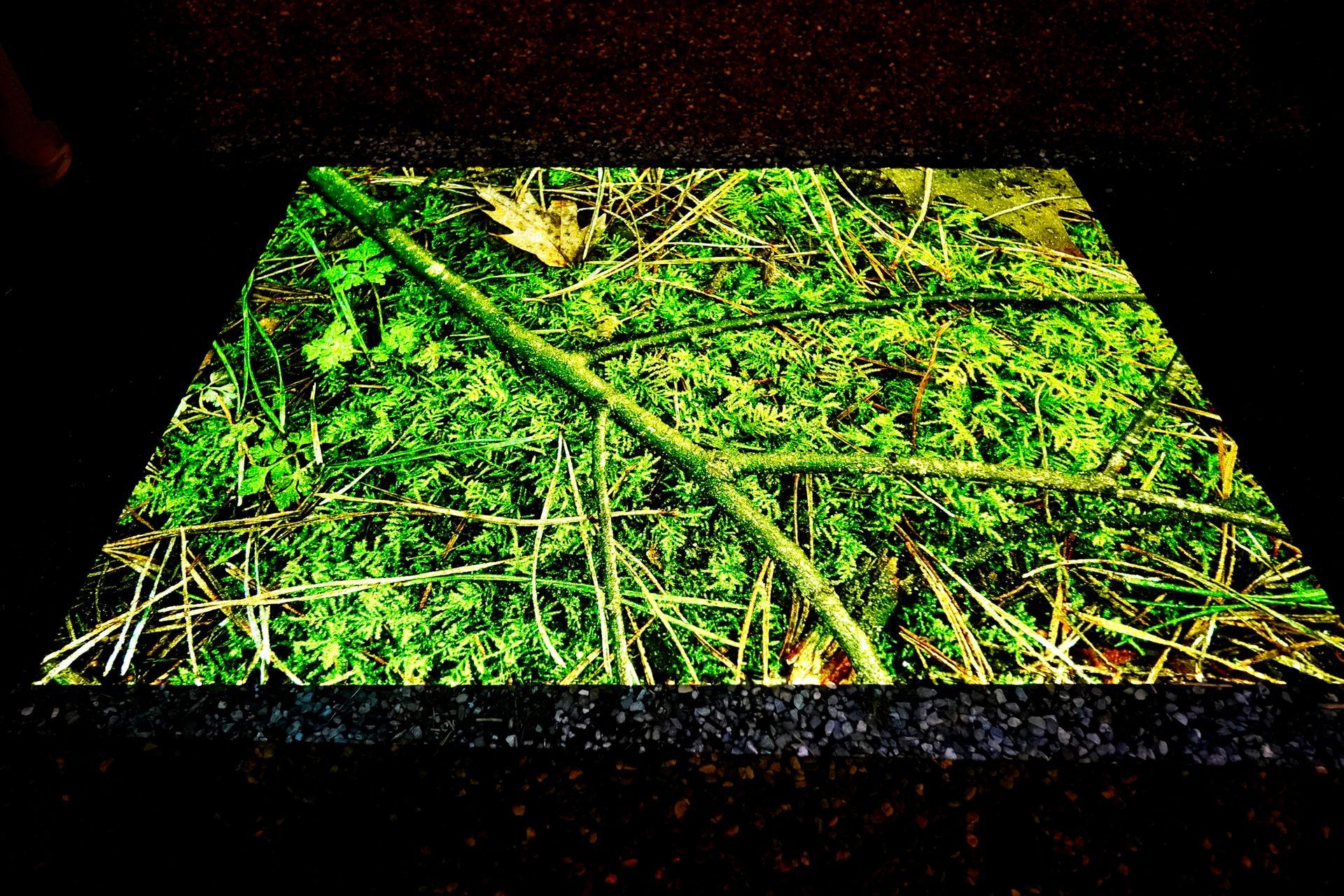 Talent lab x Technova College Ede 
( ROC A12)
Gemeente Apeldoorn 
Royallight Festival
©2026-Strikwerda Fotografie