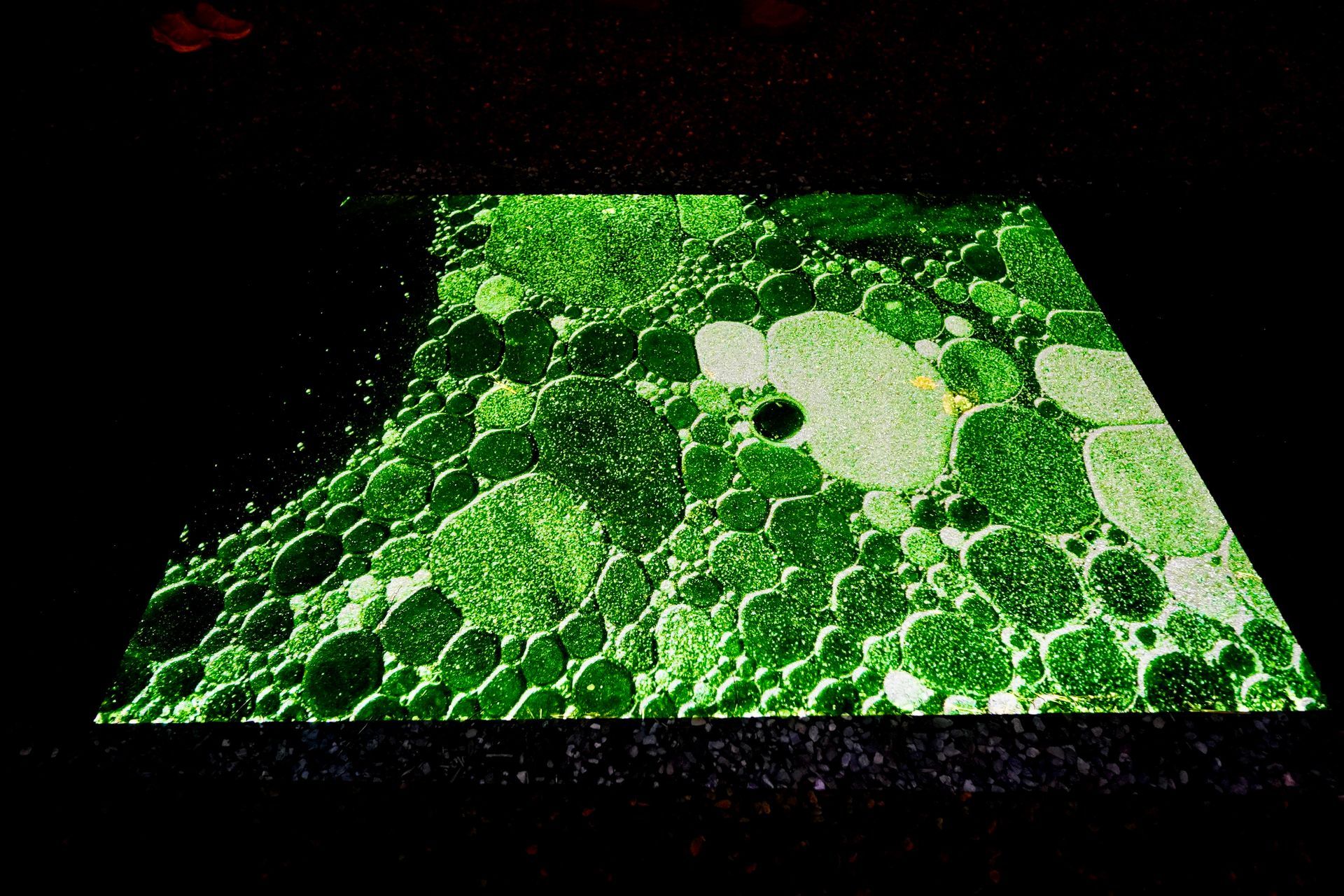 Talent lab x Technova College Ede 
( ROC A12)
Gemeente Apeldoorn 
Royallight Festival
©2026-Strikwerda Fotografie