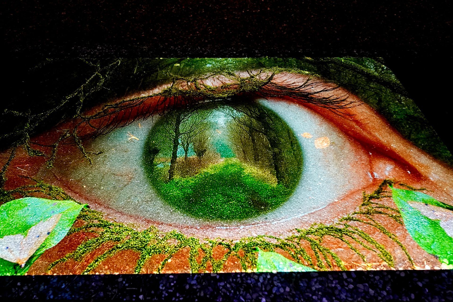 Talent lab x Technova College Ede 
( ROC A12)
Gemeente Apeldoorn 
Royallight Festival
©2026-Strikwerda Fotografie