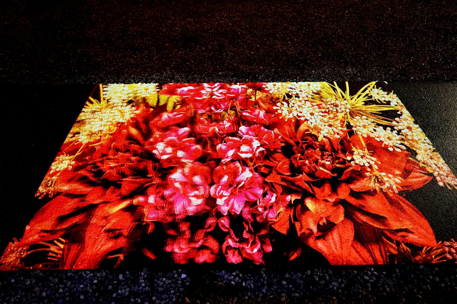 Talent lab x Technova College Ede 
( ROC A12)
Gemeente Apeldoorn 
Royallight Festival
©2026-Strikwerda Fotografie