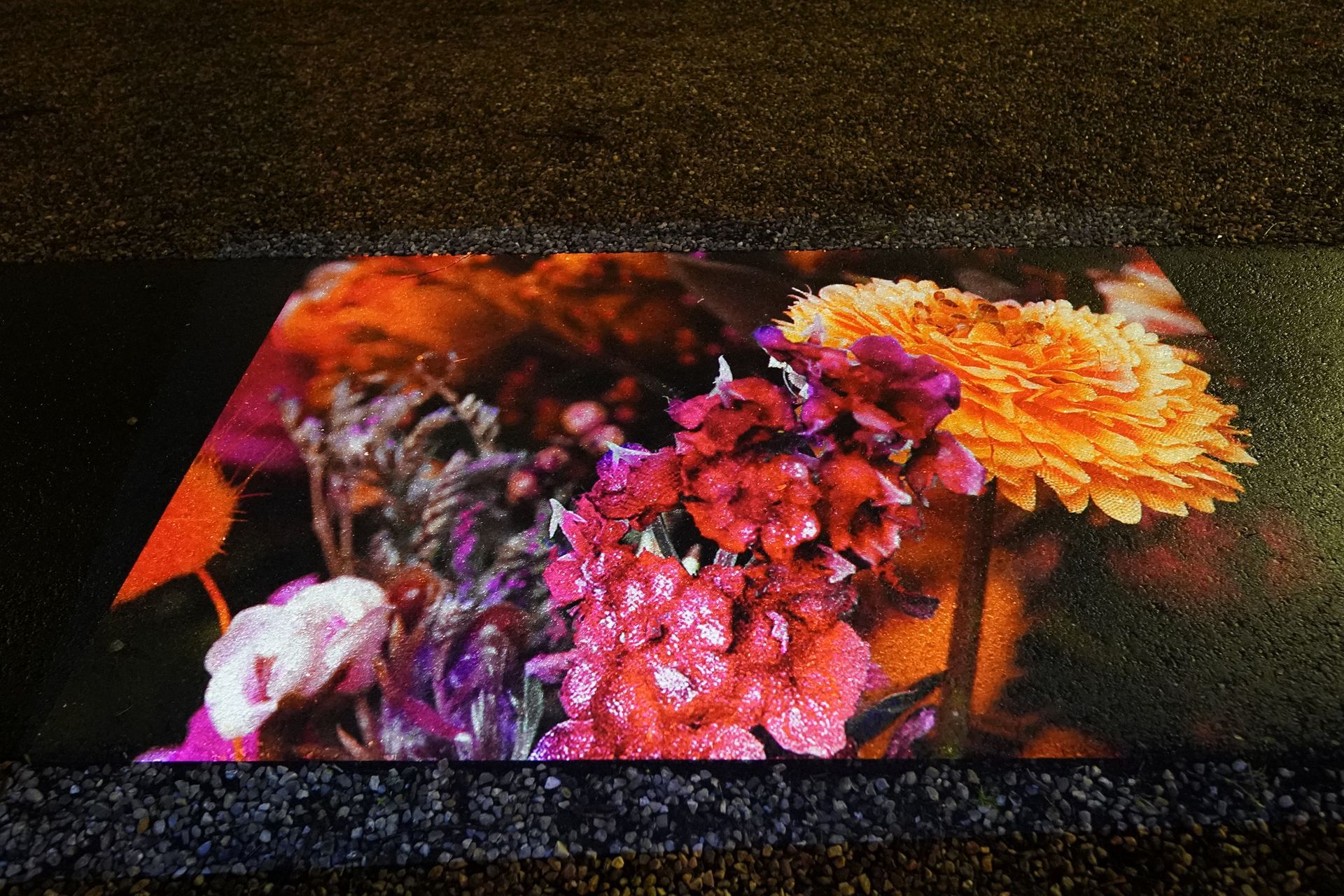 Talent lab x Technova College Ede 
( ROC A12)
Gemeente Apeldoorn 
Royallight Festival