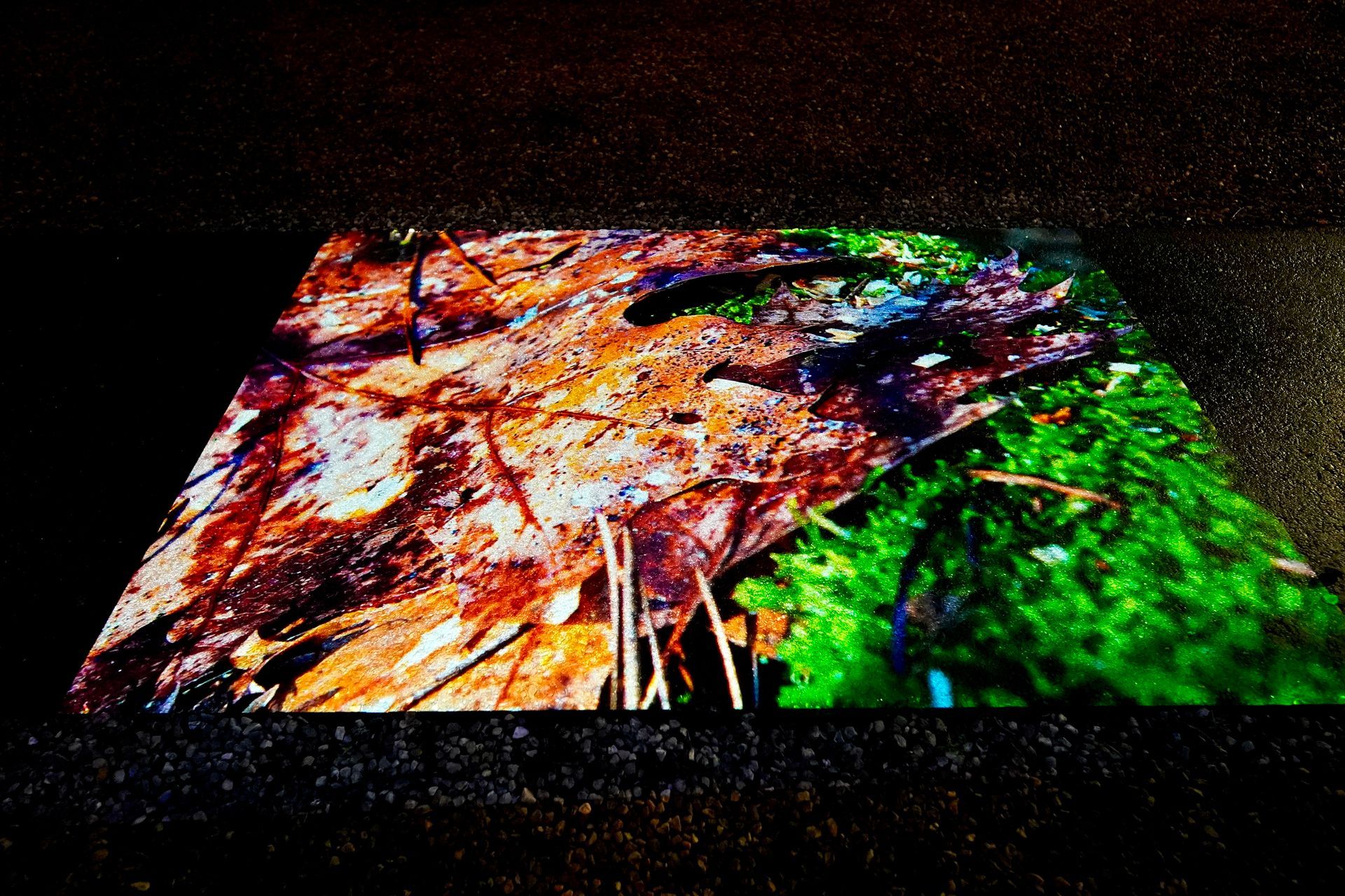 Talent lab x Technova College Ede 
( ROC A12)
Gemeente Apeldoorn 
Royallight Festival
©2026-Strikwerda Fotografie