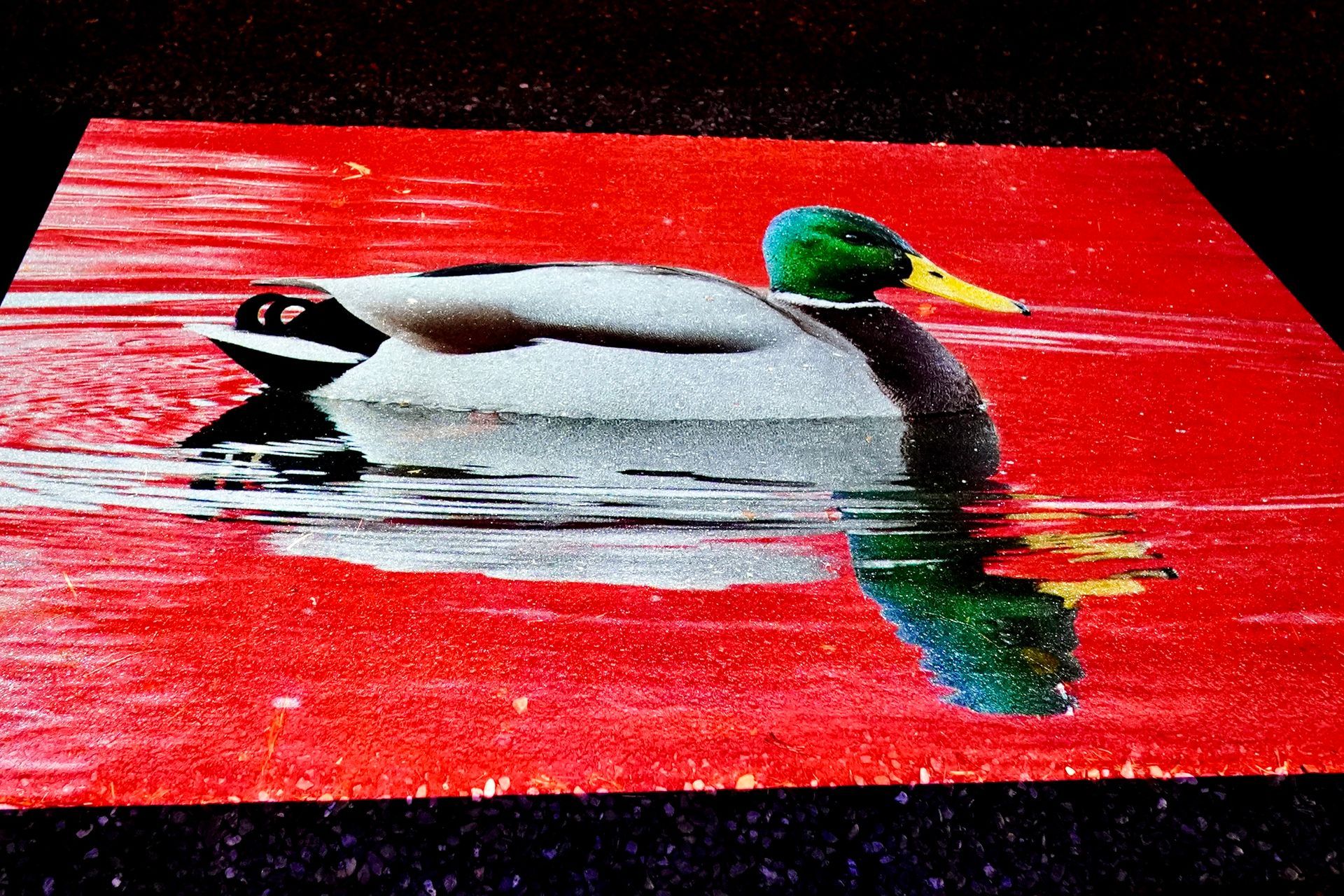 Talent lab x Technova College Ede 
( ROC A12)
Gemeente Apeldoorn 
Royallight Festival
©2026-Strikwerda Fotografie