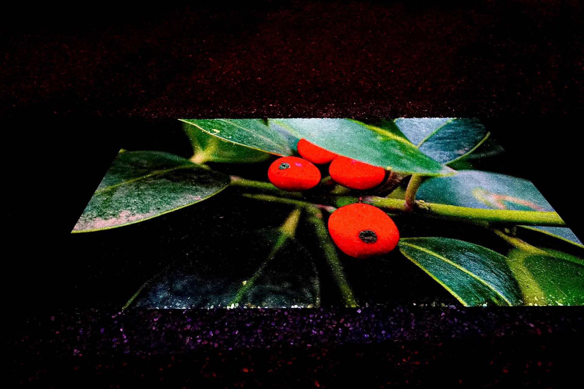 Talent lab x Technova College Ede 
( ROC A12)
Gemeente Apeldoorn 
Royallight Festival
©2026-Strikwerda Fotografie