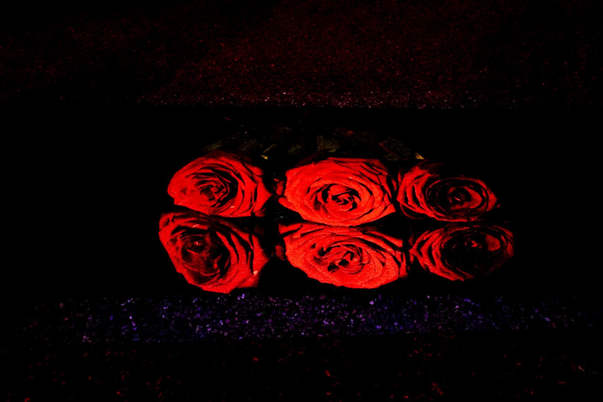 Talent lab x Technova College Ede 
( ROC A12)
Gemeente Apeldoorn 
Royallight Festival
©2026-Strikwerda Fotografie