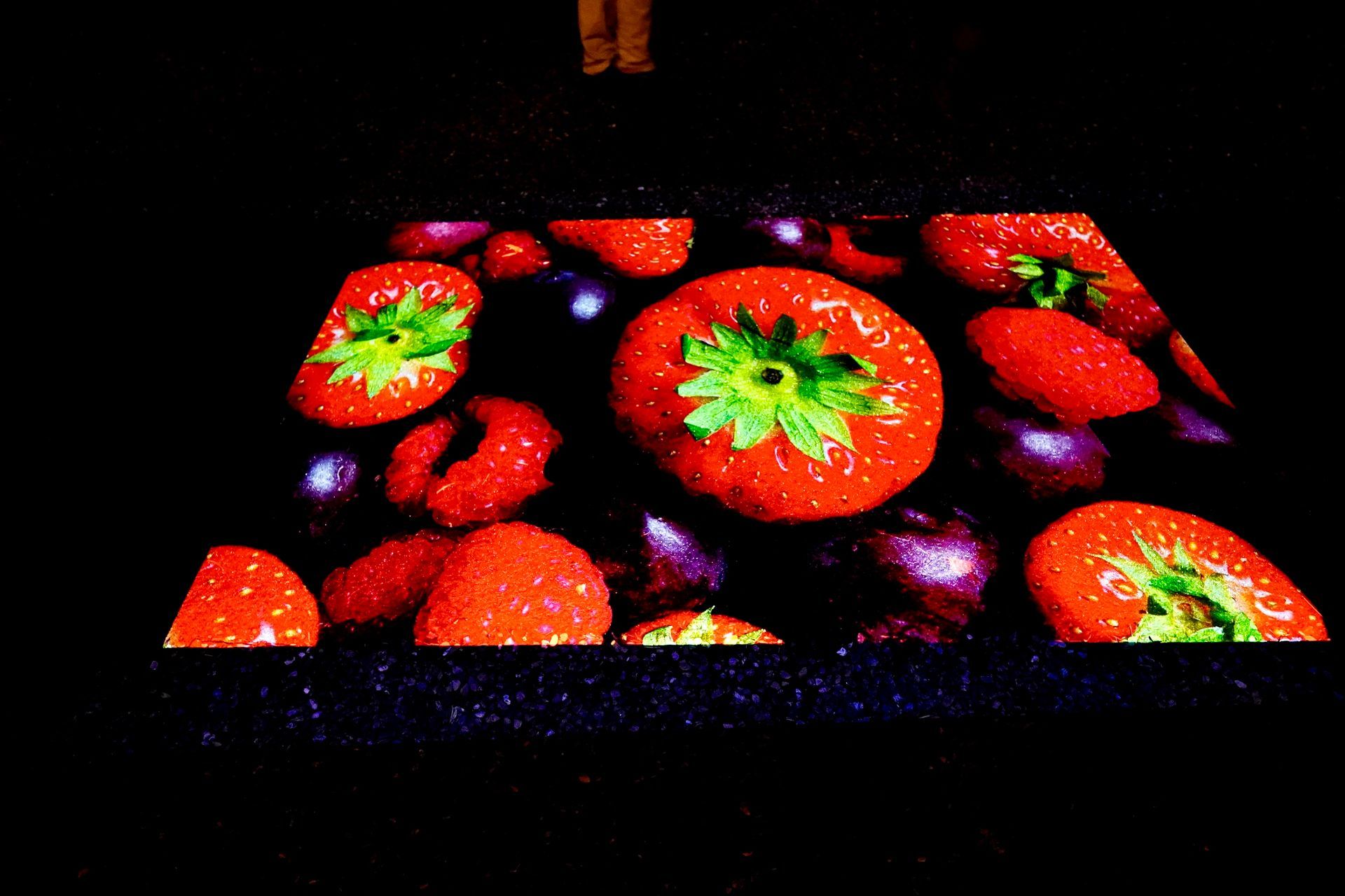 Talent lab x Technova College Ede 
( ROC A12)
Gemeente Apeldoorn 
Royallight Festival
©2026-Strikwerda Fotografie