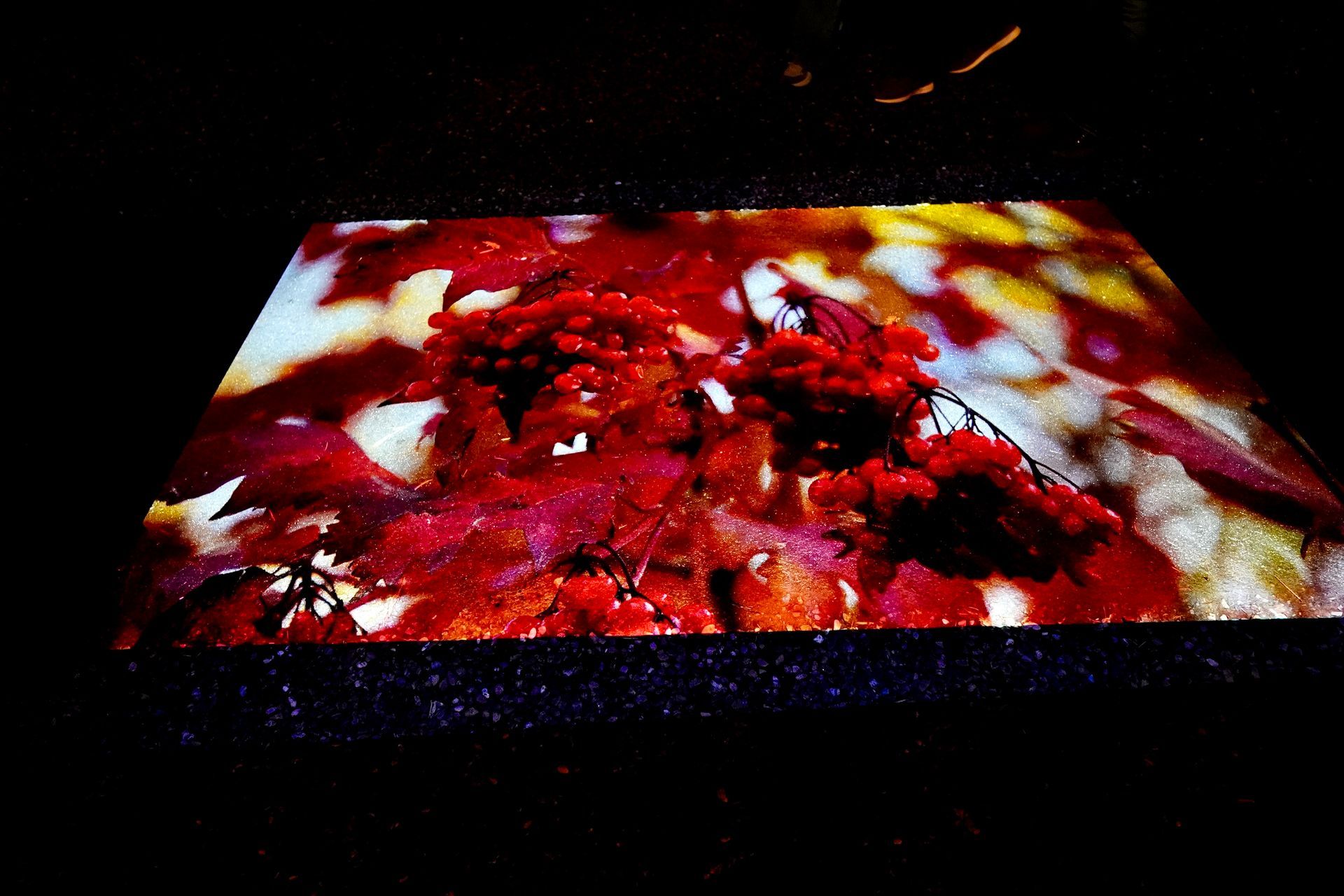 Talent lab x Technova College Ede 
( ROC A12)
Gemeente Apeldoorn 
Royallight Festival
©2026-Strikwerda Fotografie