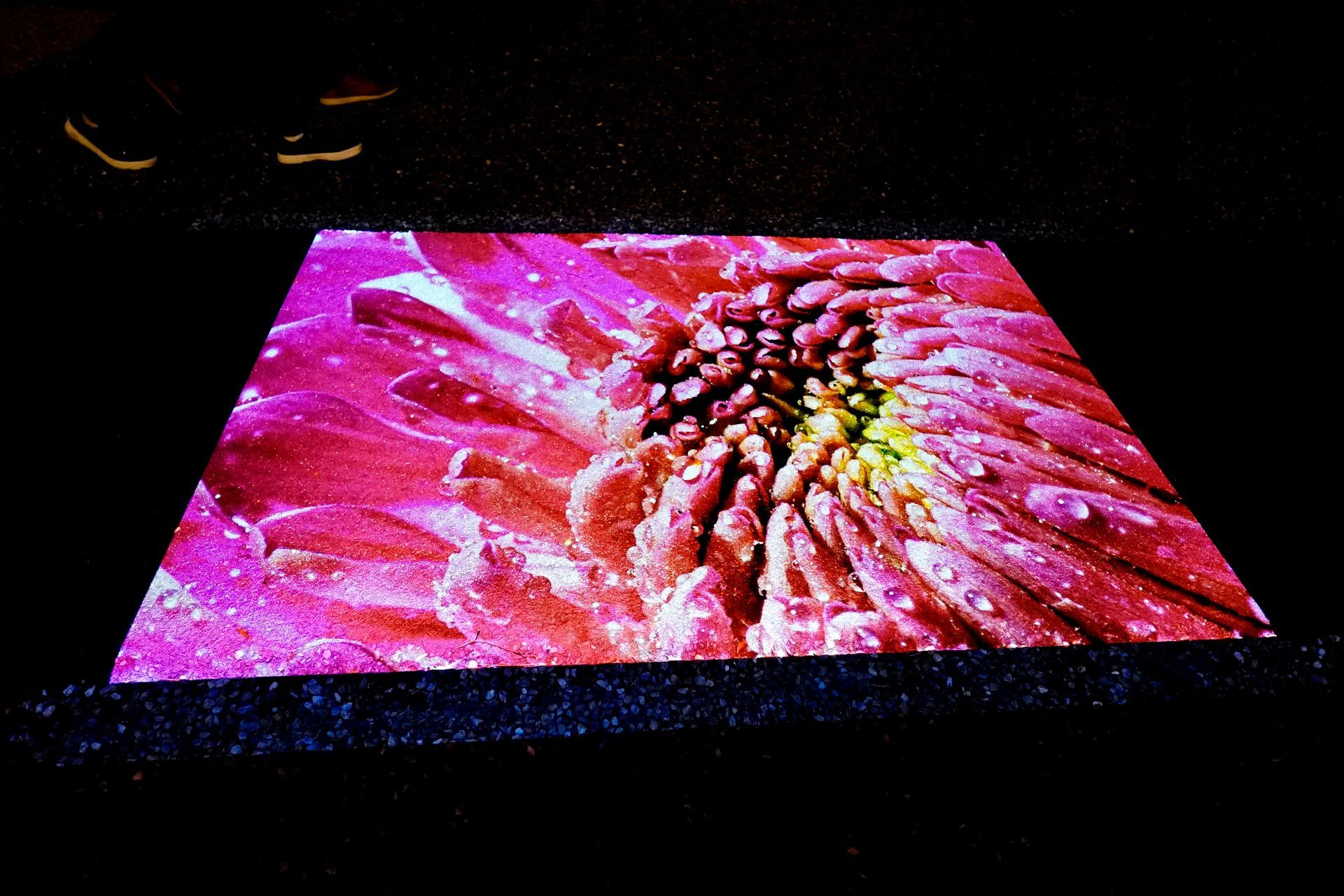 Talent lab x Technova College Ede 
( ROC A12)
Gemeente Apeldoorn 
Royallight Festival
©2026-Strikwerda Fotografie