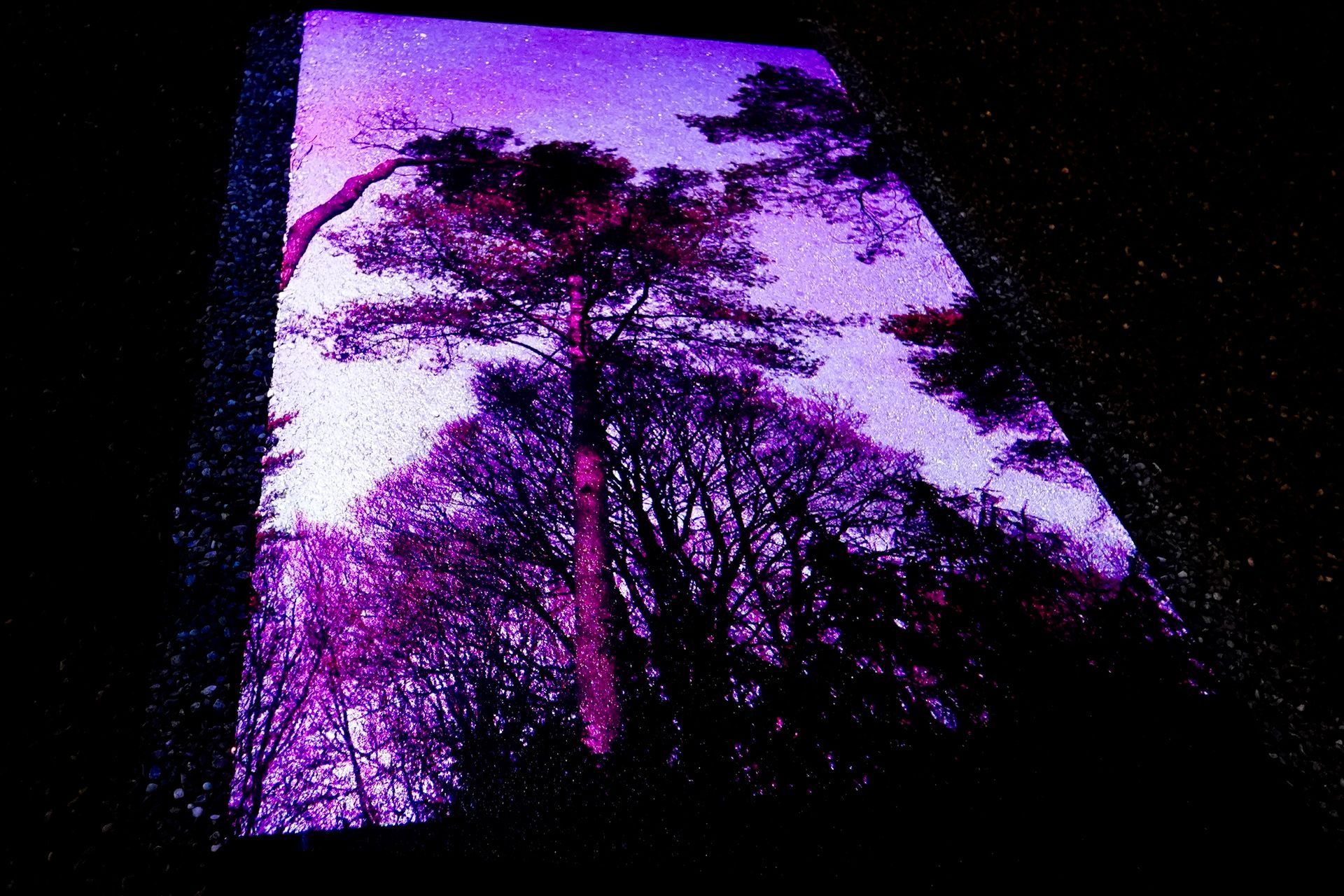 Talent lab x Technova College Ede 
( ROC A12)
Gemeente Apeldoorn 
Royallight Festival
©2026-Strikwerda Fotografie