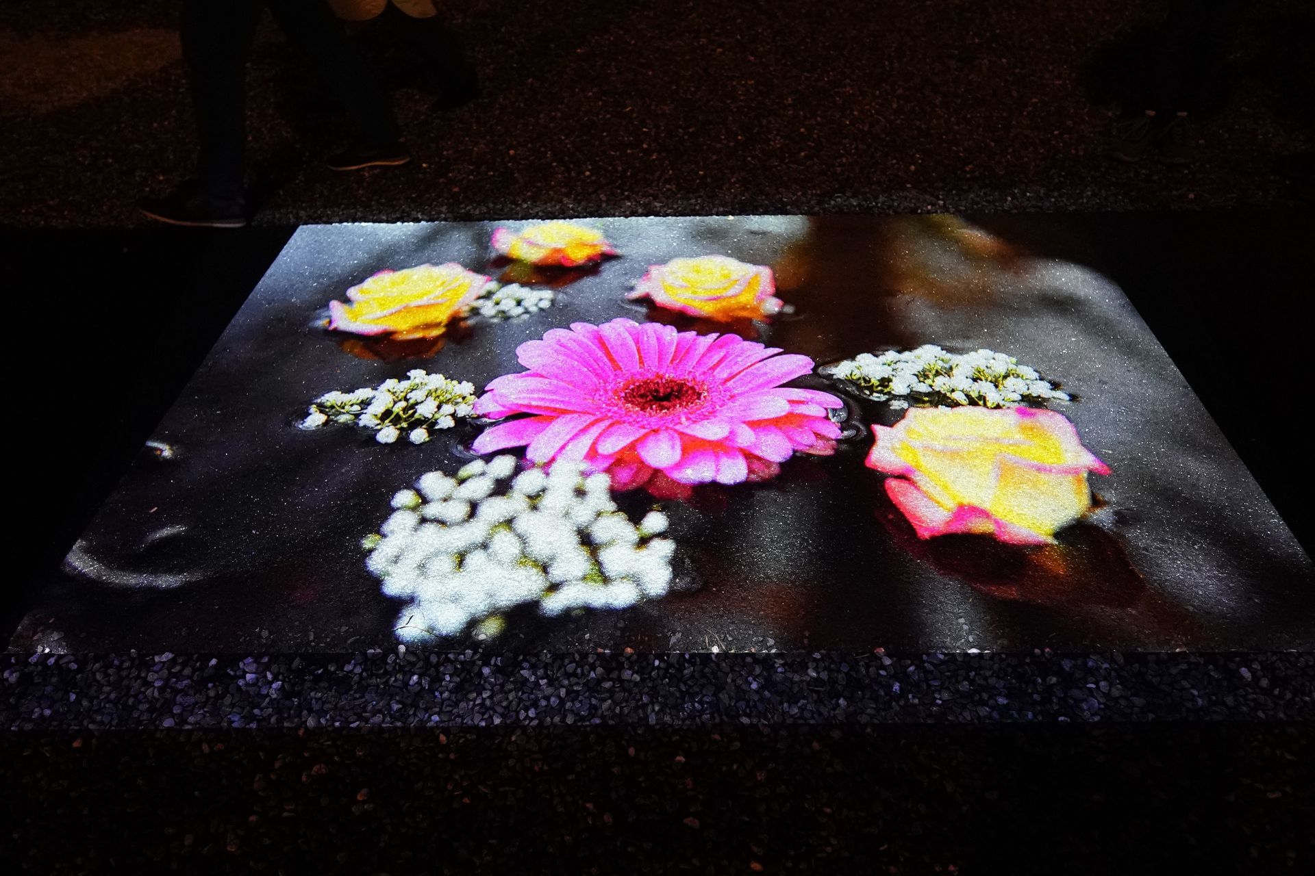 Talent lab x Technova College Ede 
( ROC A12)
Gemeente Apeldoorn 
Royallight Festival
©2026-Strikwerda Fotografie