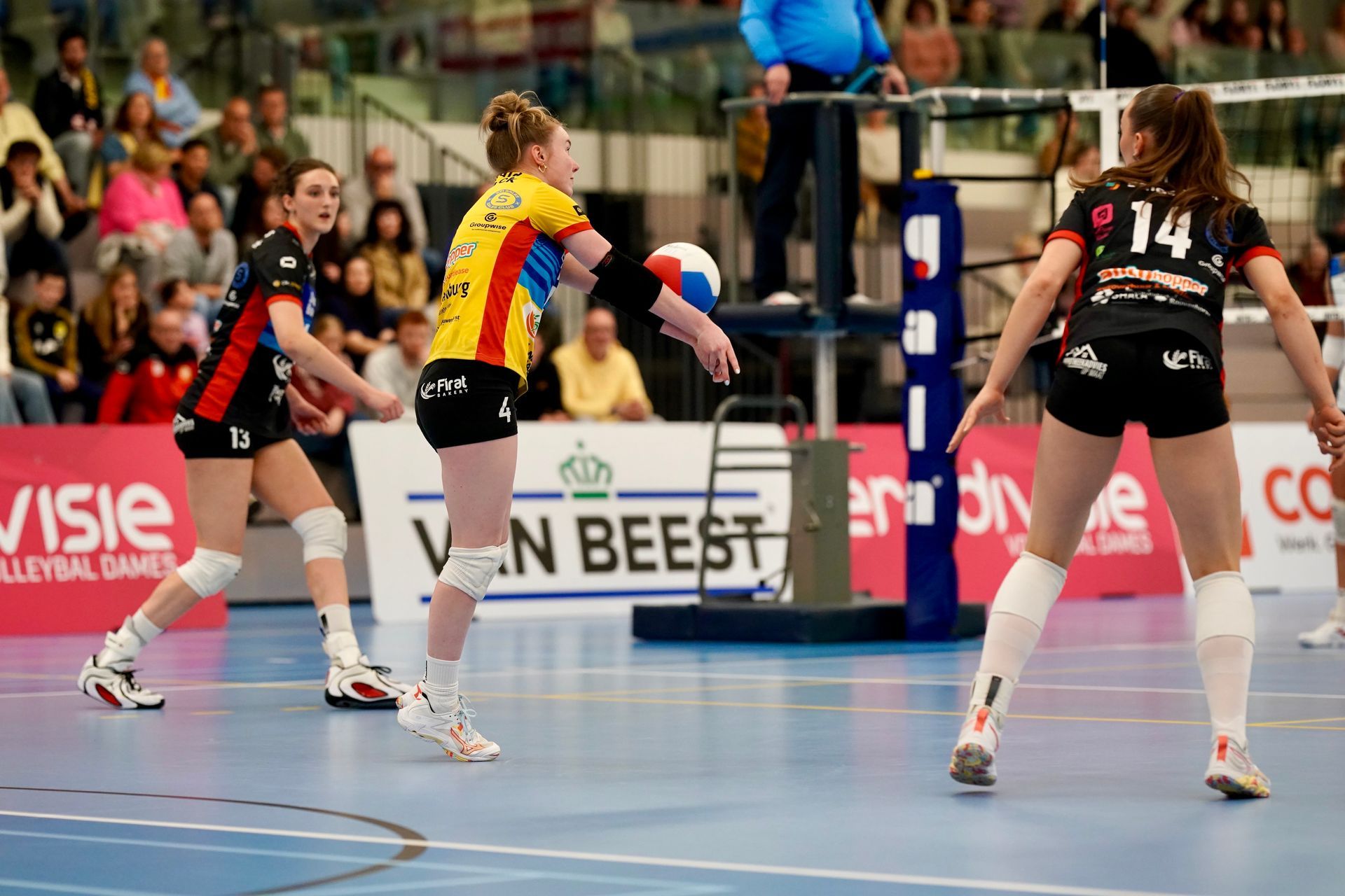 ©2026-Strikwerda Fotografie
Eredivisie volleybal 
Nevobo