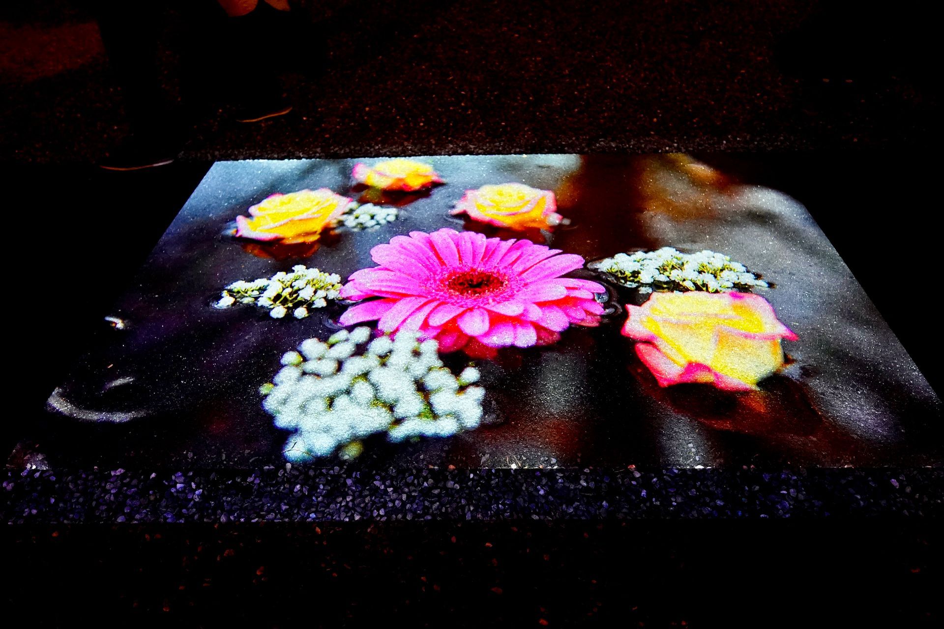 Talent lab x Technova College Ede 
( ROC A12)
Gemeente Apeldoorn 
Royallight Festival
©2026-Strikwerda Fotografie