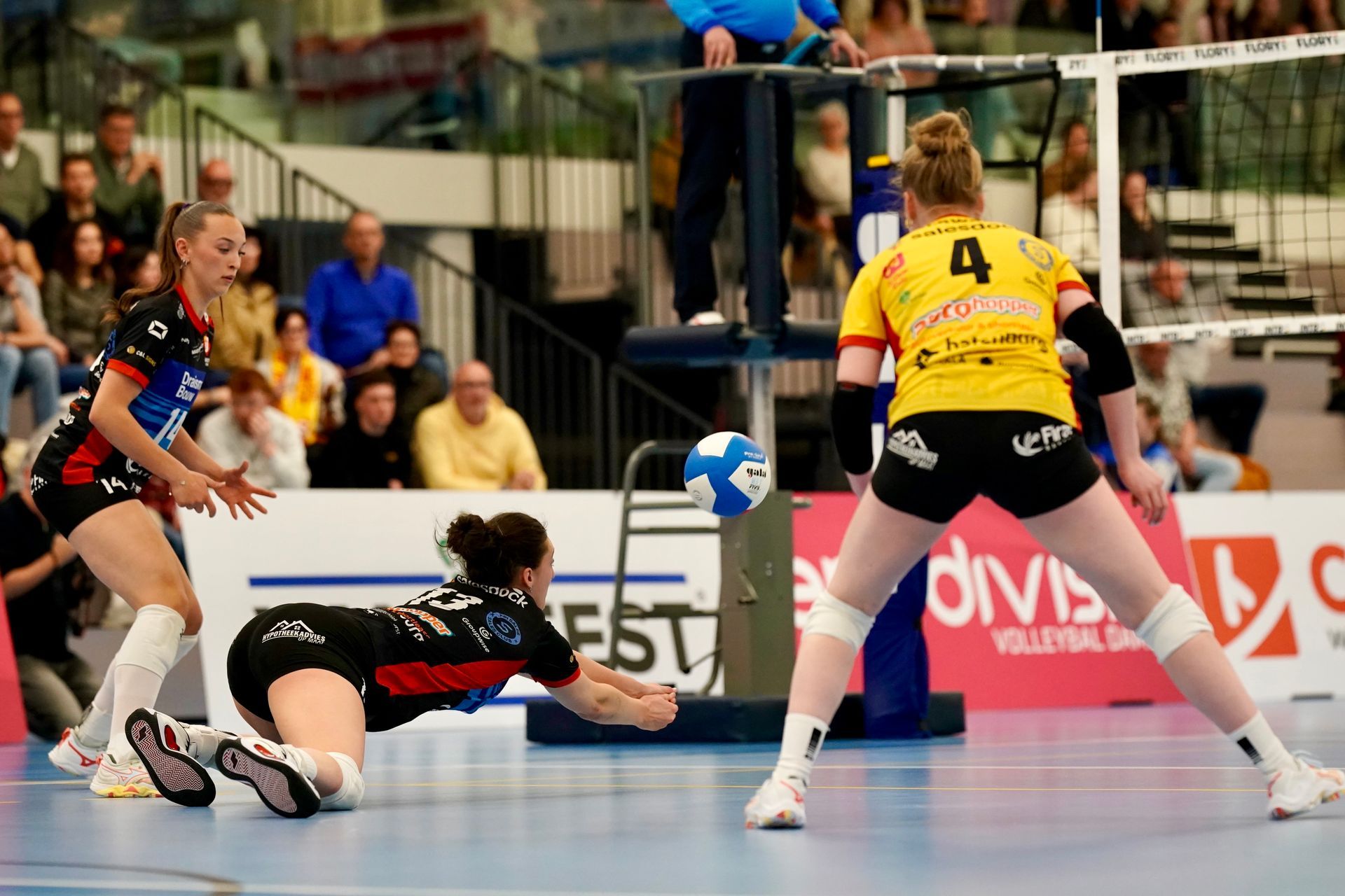 
©2026-Strikwerda Fotografie
Eredivisie volleybal 
Nevobo