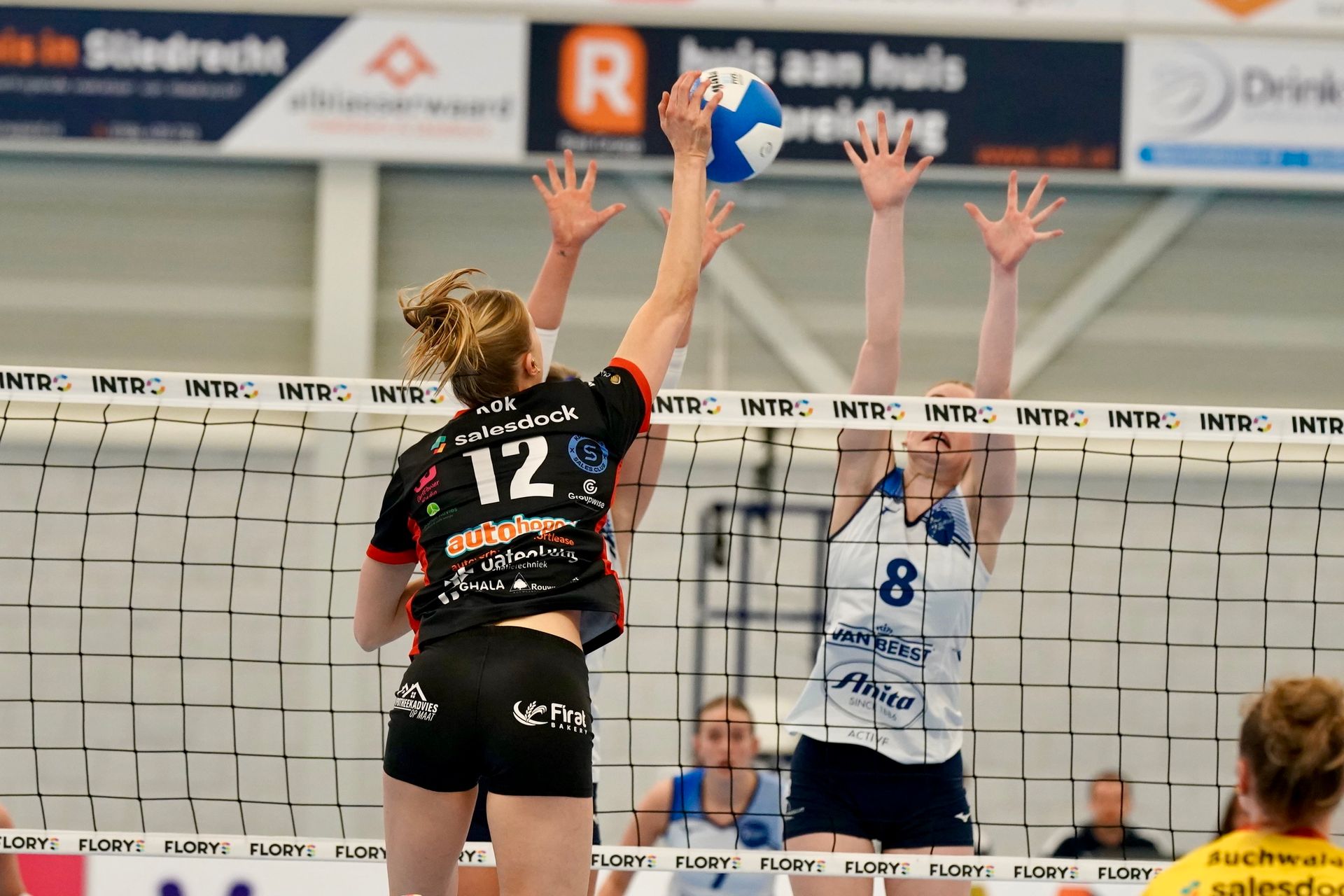#12 Pip Kok
©2026-Strikwerda Fotografie
Eredivisie volleybal 
Nevobo