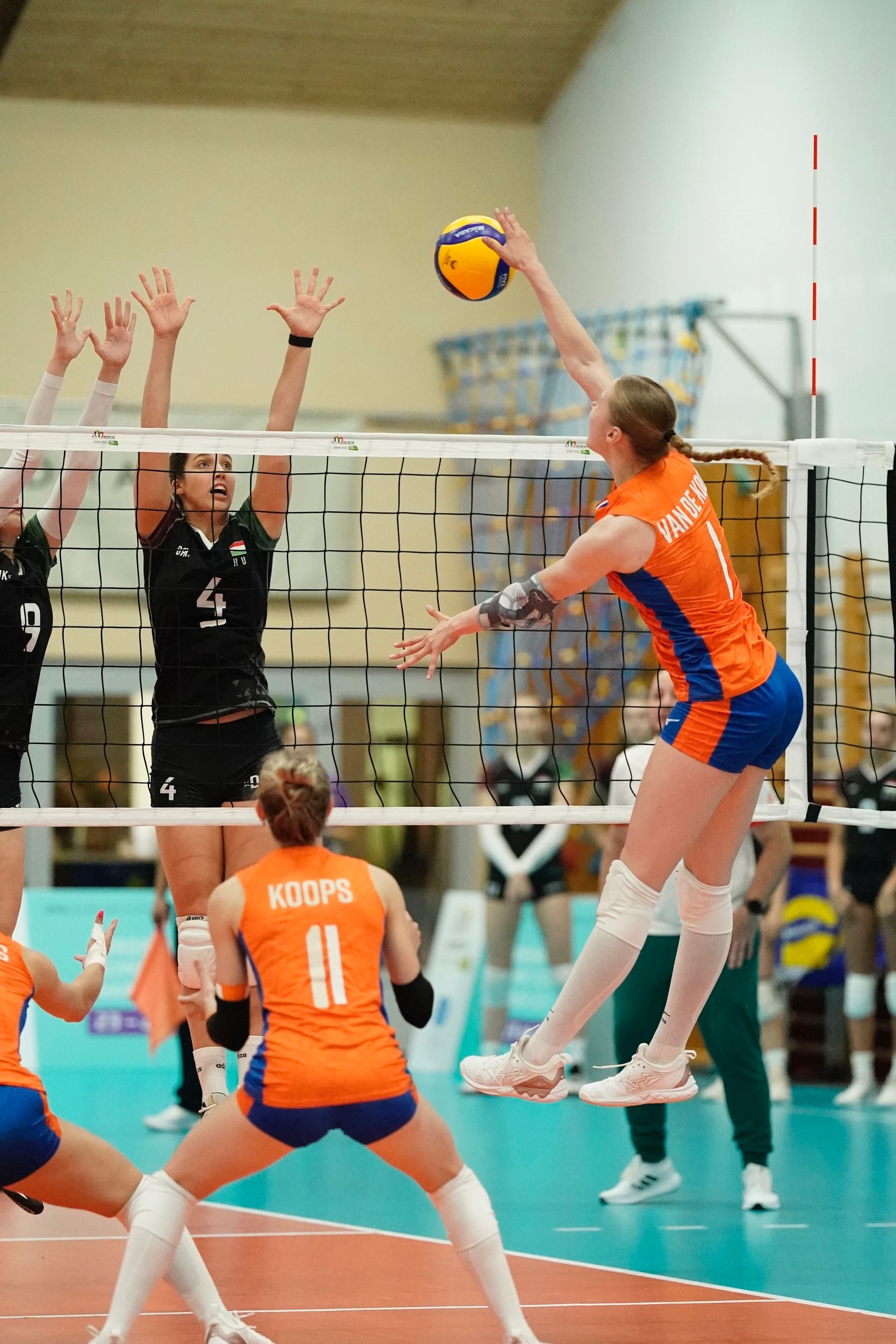 ©2026-Strikwerda Fotografie