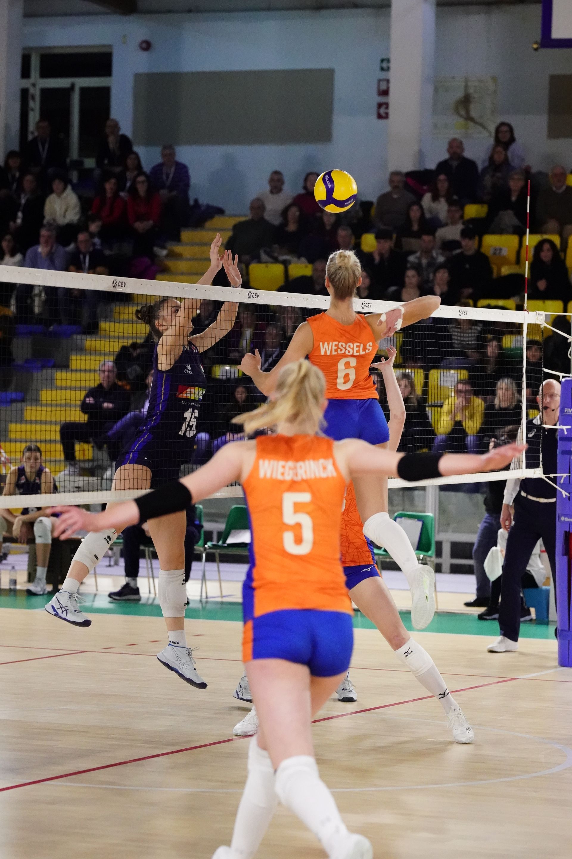 ©2026-Strikwerda Fotografie