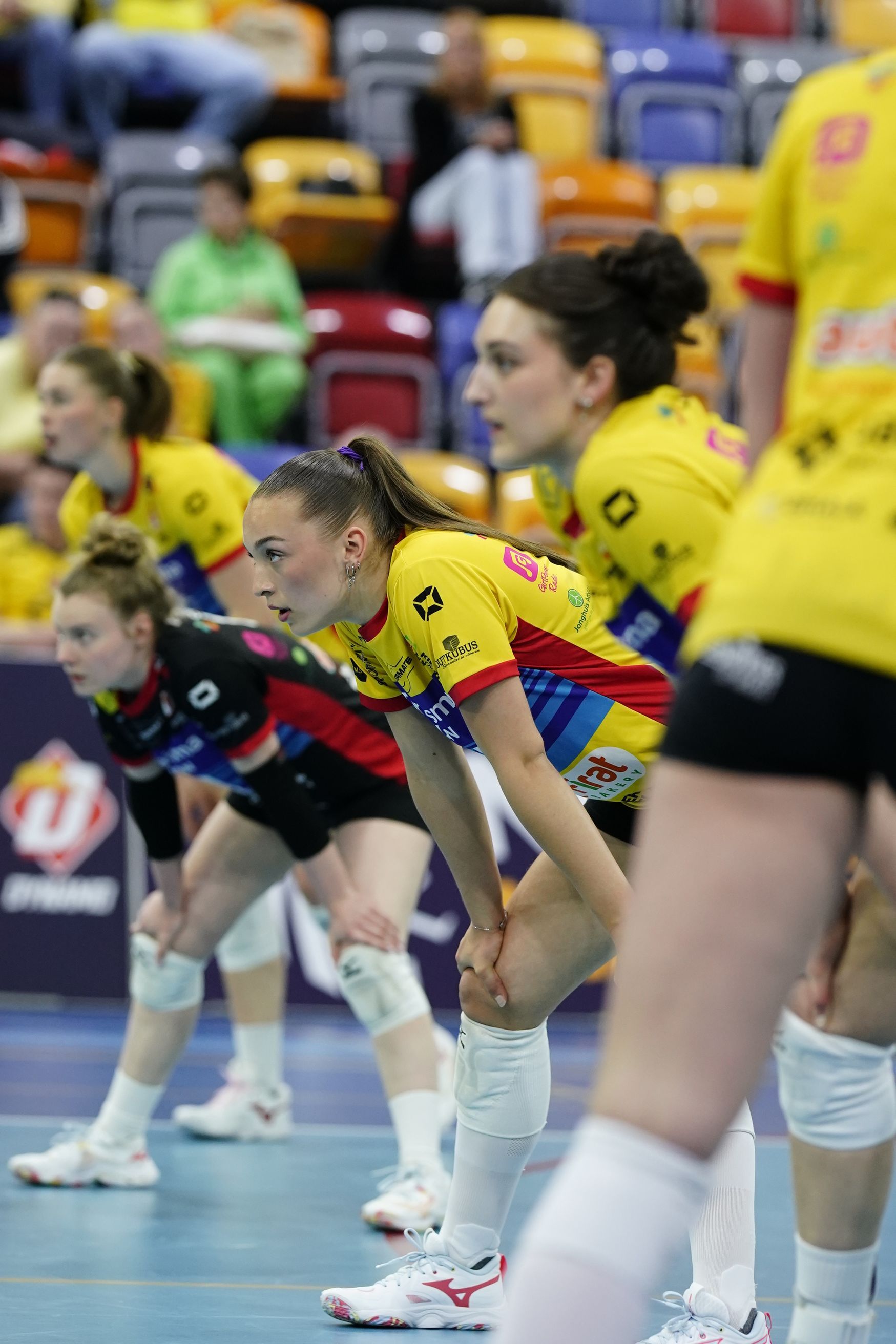 ©2026-Strikwerda Fotografie
Eredivisie volleybal 
Nevobo