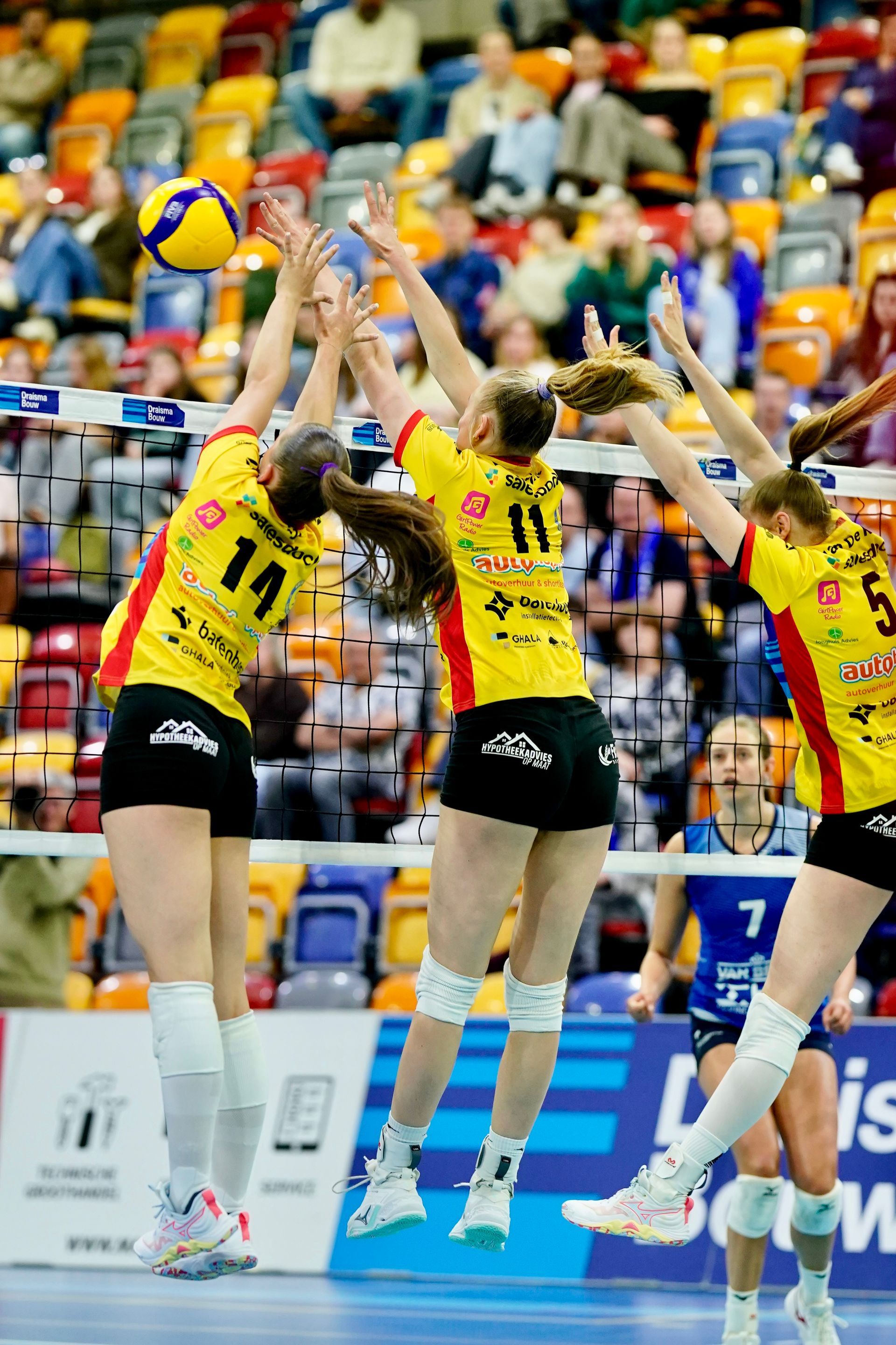 ©2026-Strikwerda Fotografie
Eredivisie volleybal 
Nevobo