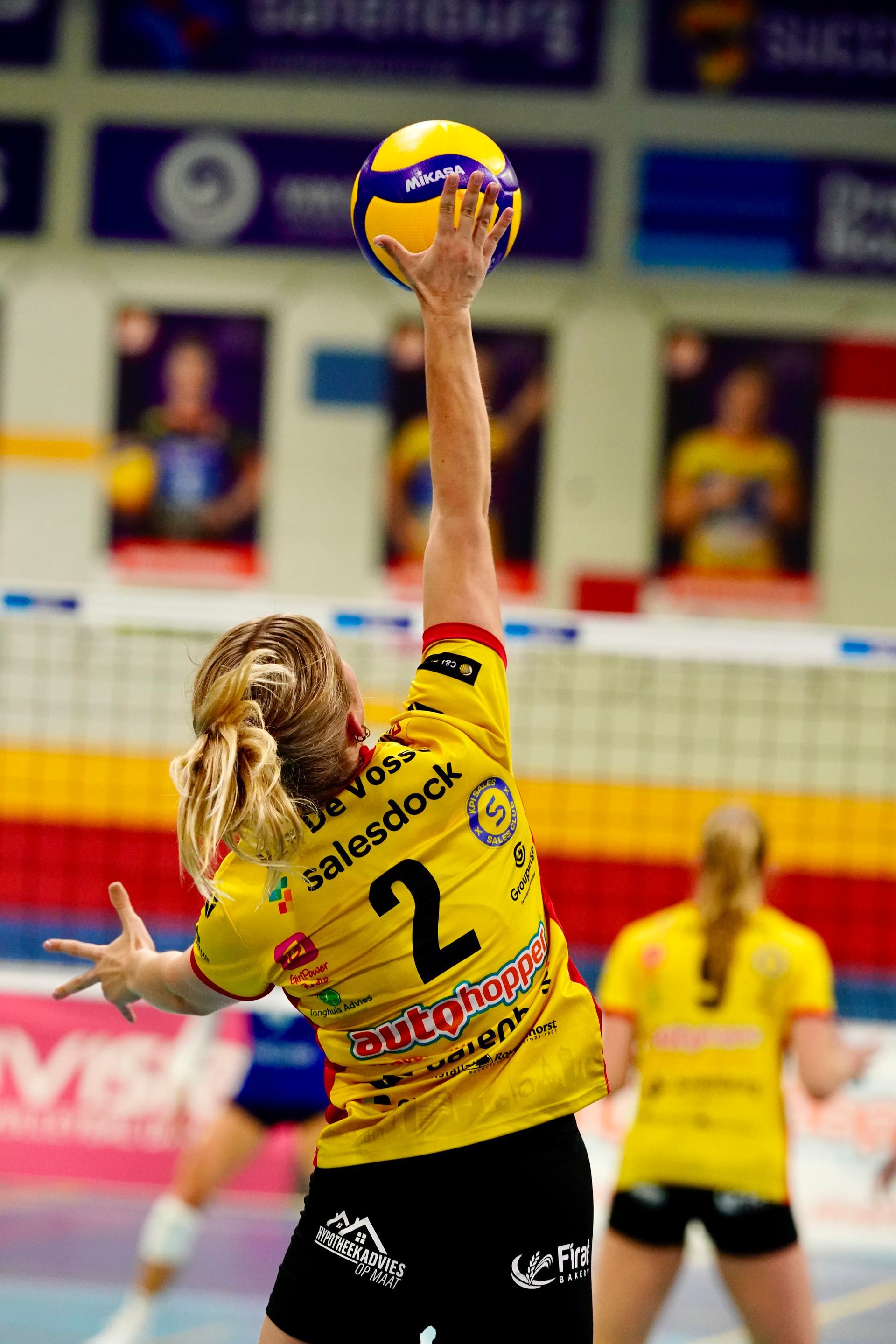 Lisan van de Vosse #2
Eredivisievollerybal
Nevobo