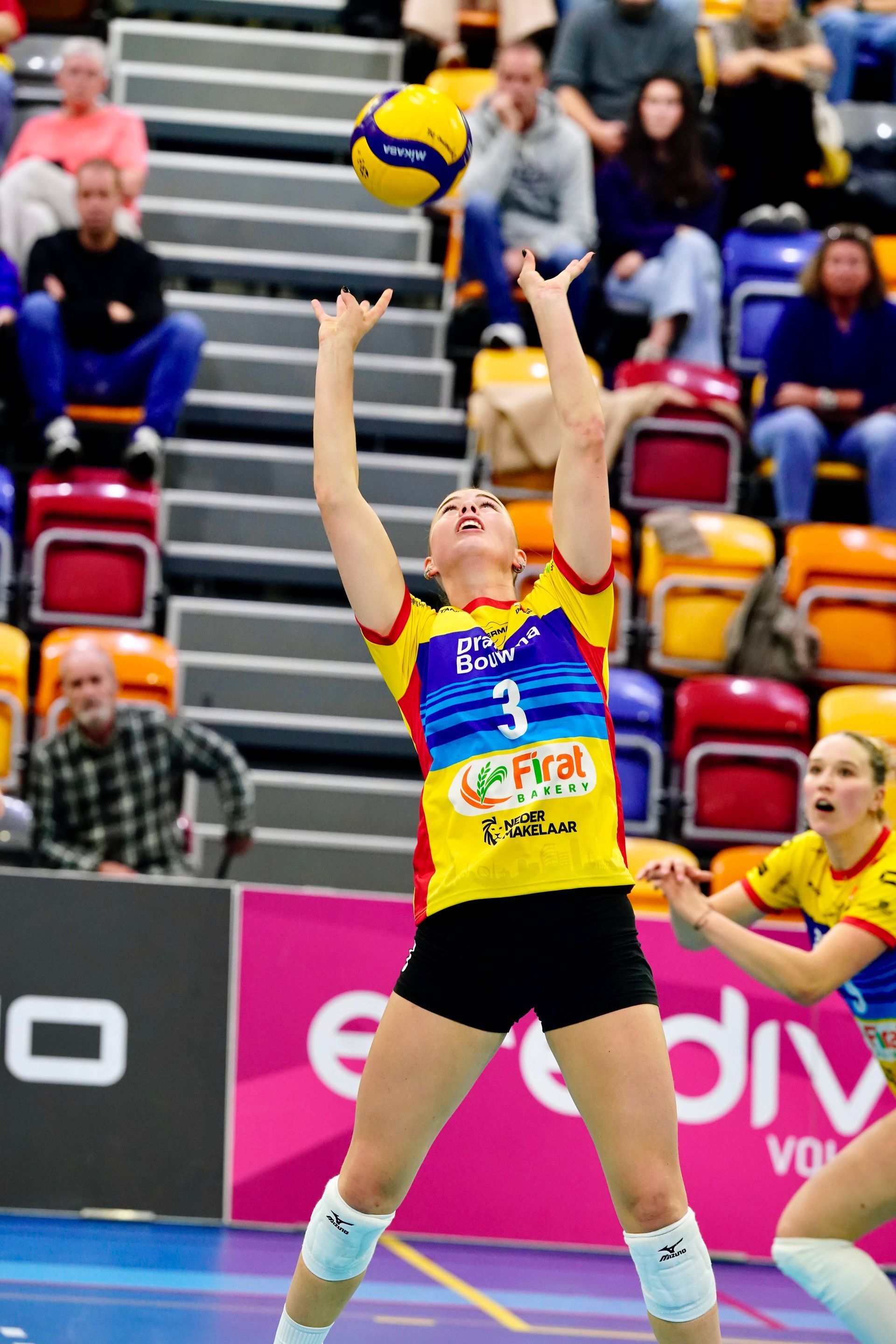 Eredivisievolleybal
Nevobo