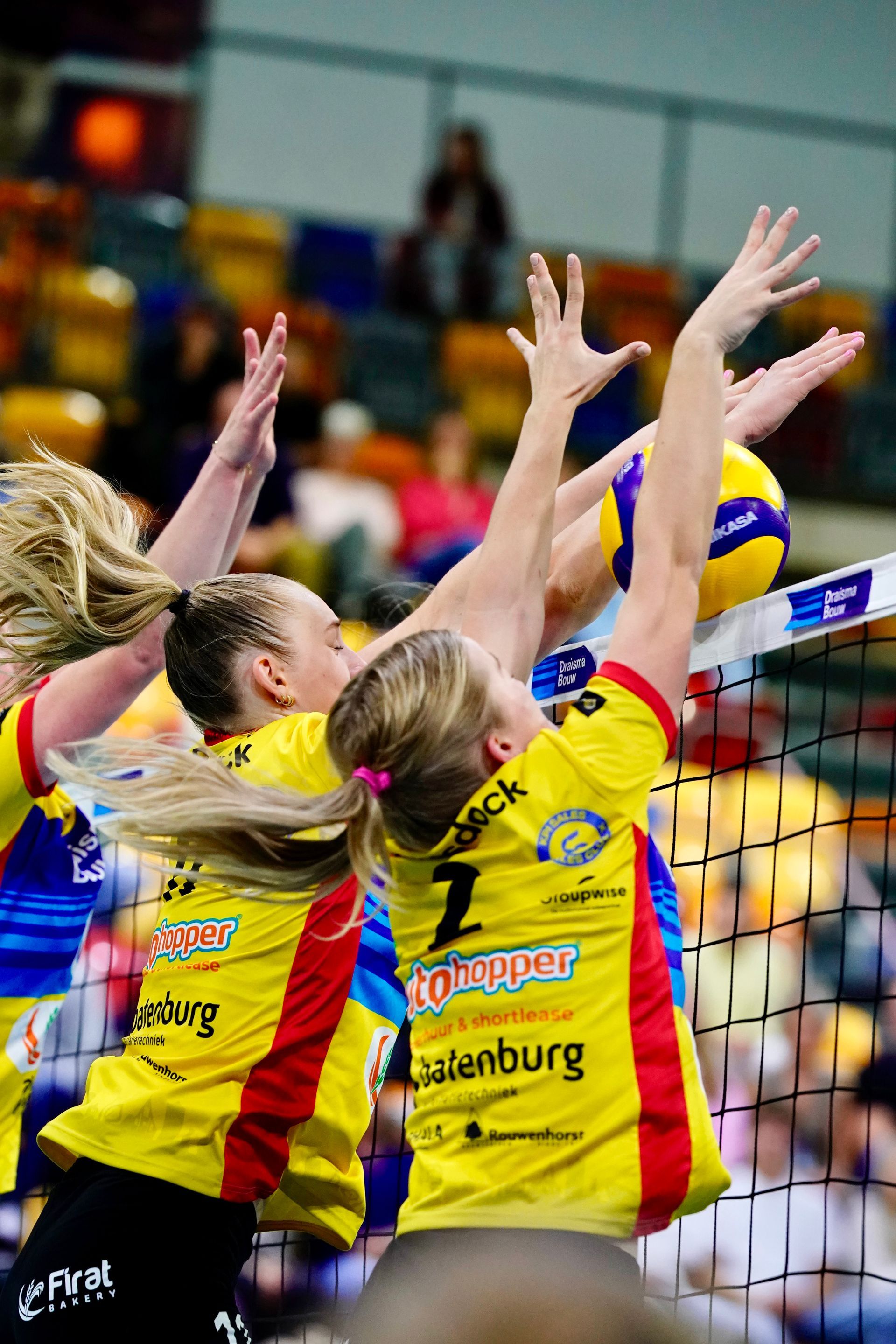 Eredivisievolleybal
Nevobo
