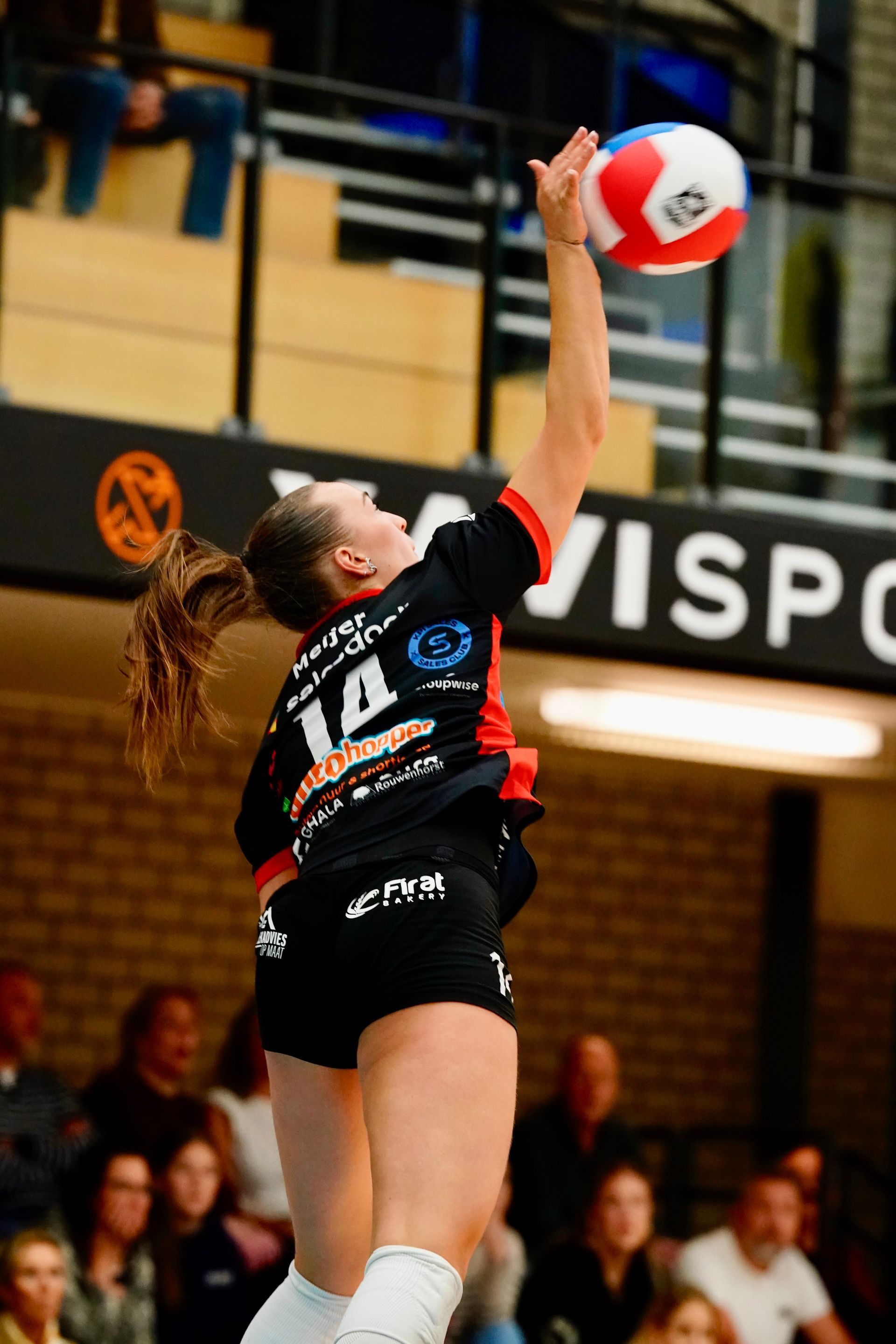 Saar Meijer #14
©2026-Strikwerda Fotografie
Eredivisie volleybal 
Nevobo